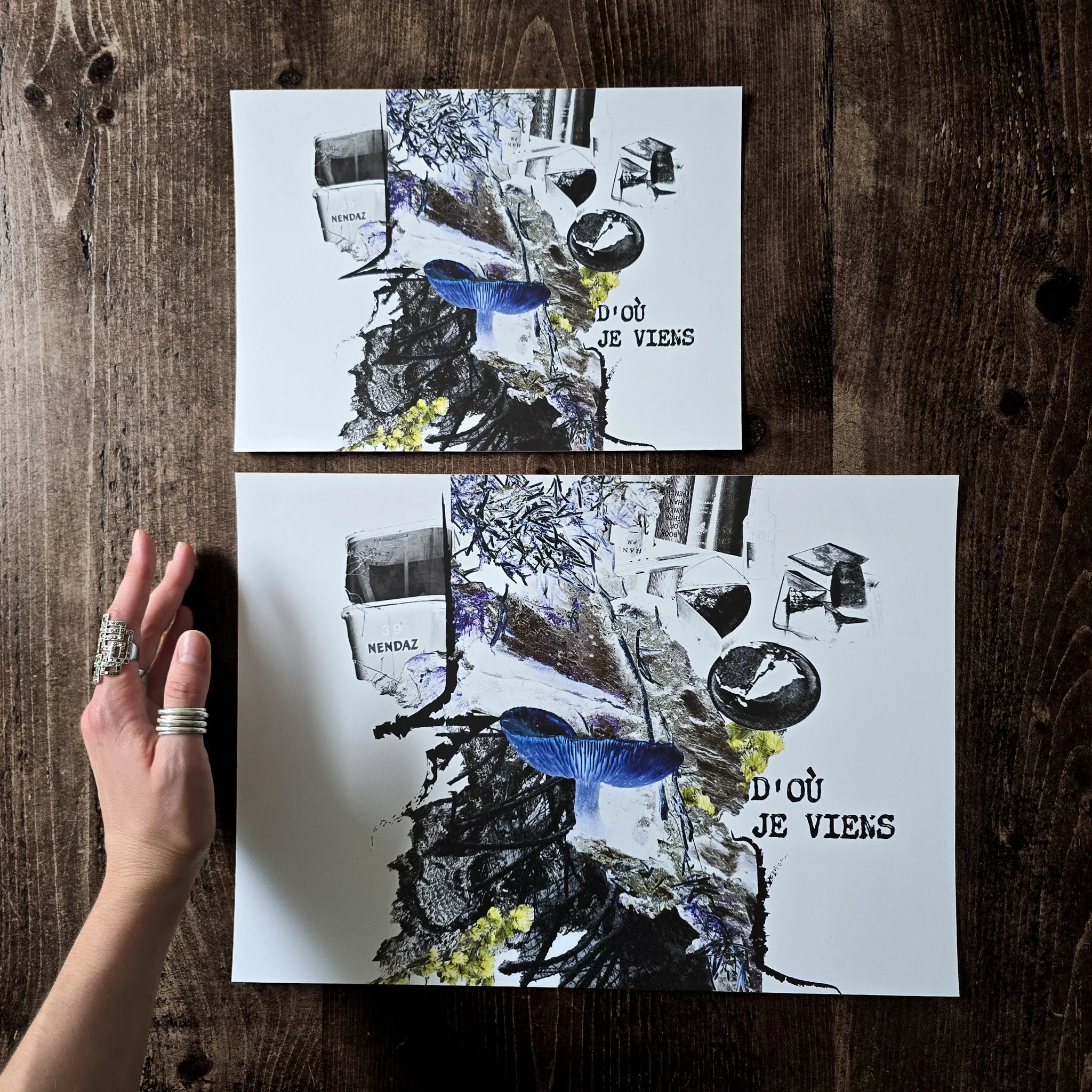 D'où Je Viens A3 & A4 Collage Prints ©FTRLA Cindy Fournier August 2026.jpg