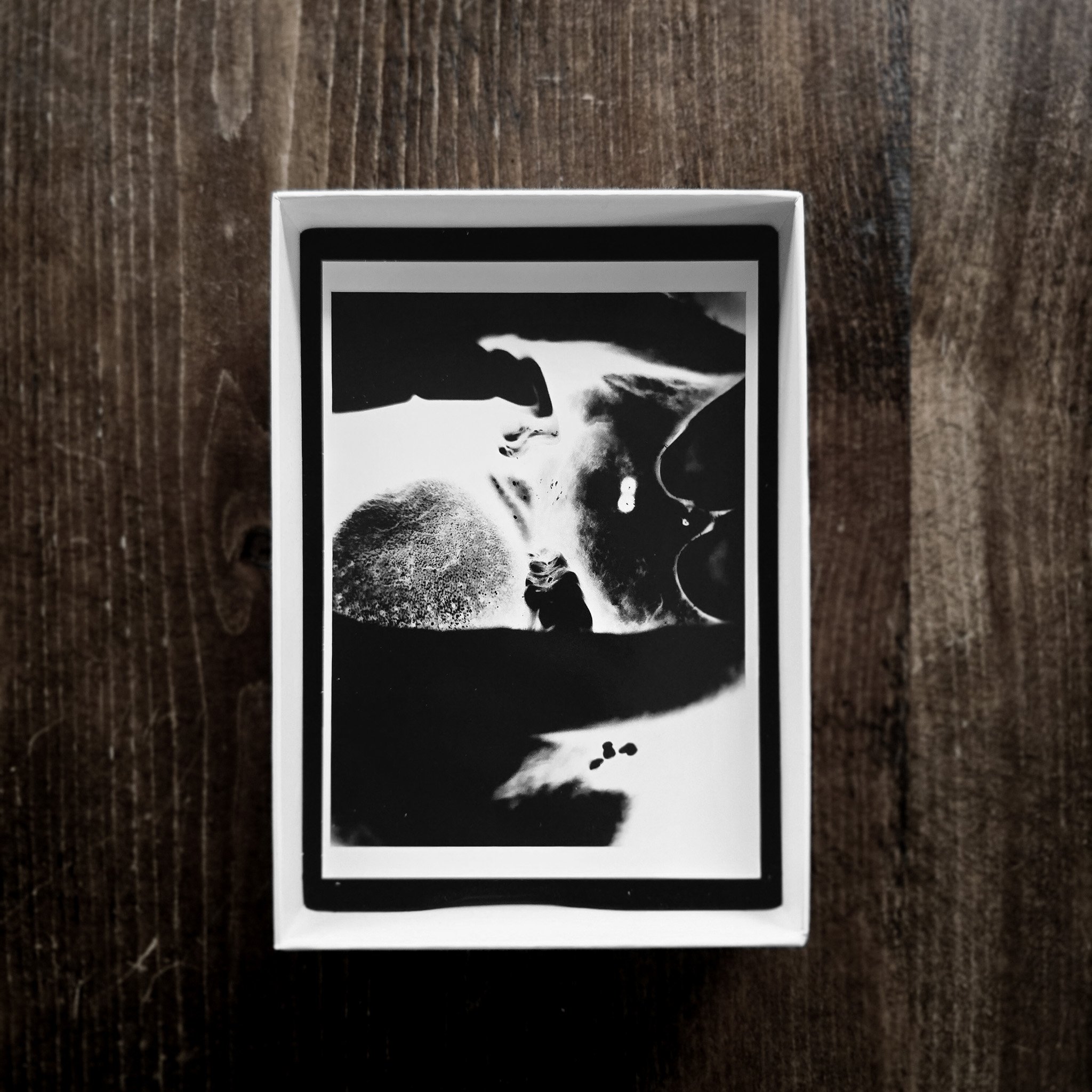 Words of Mouth – Postcard