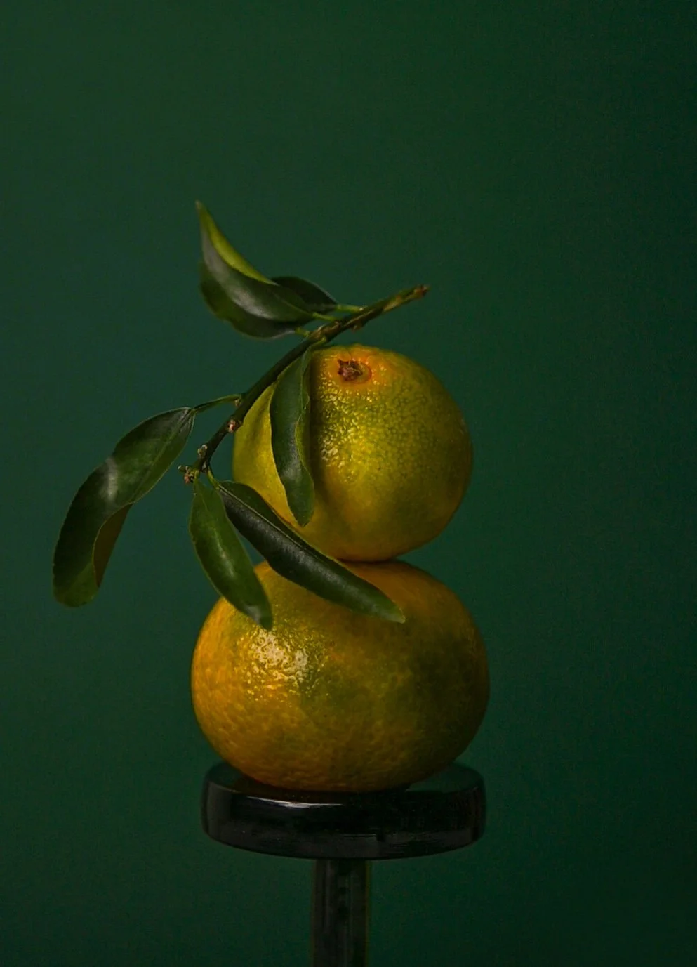 Two oranges stacked on a black stand with green leaves and a green background.
