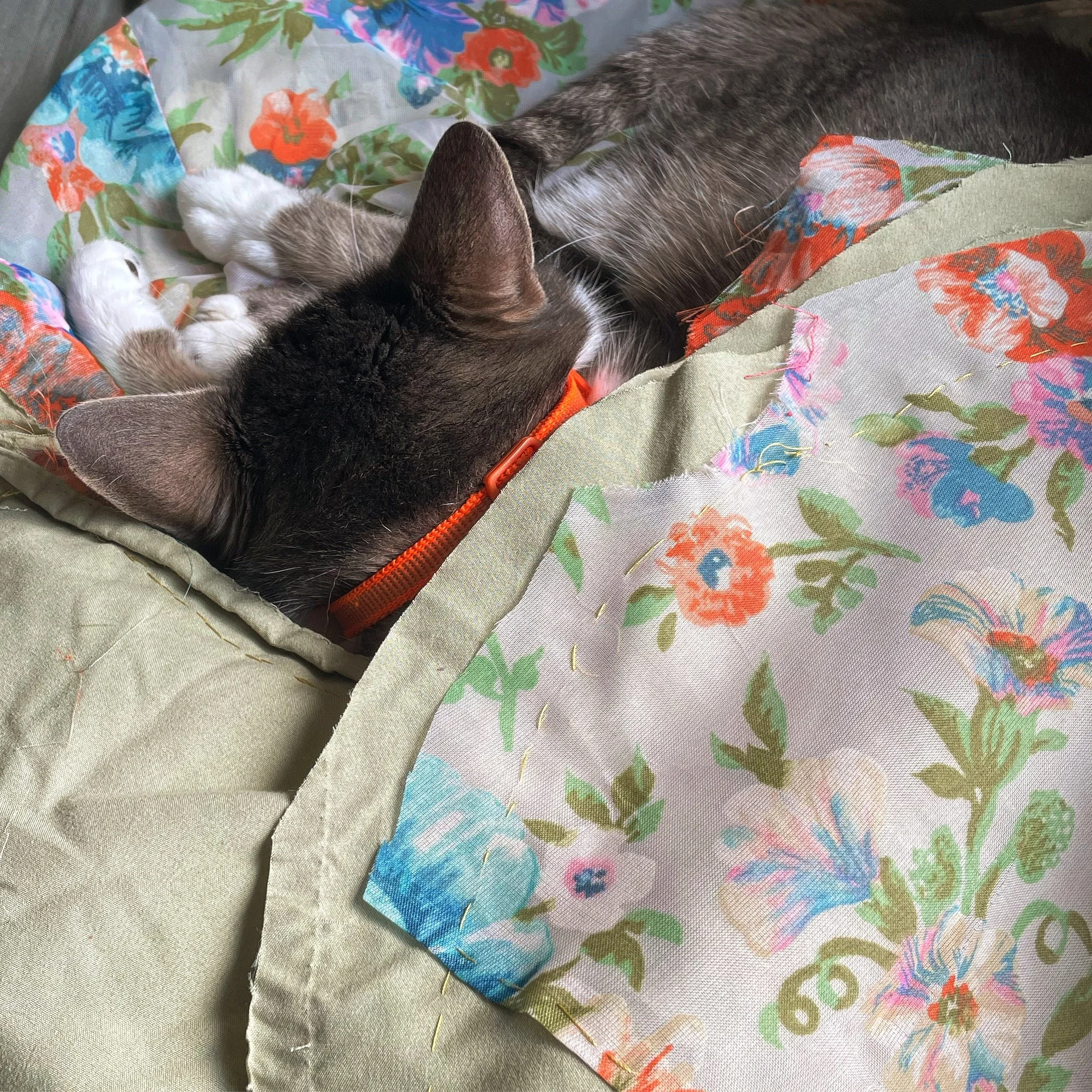 The importance of taking breaks