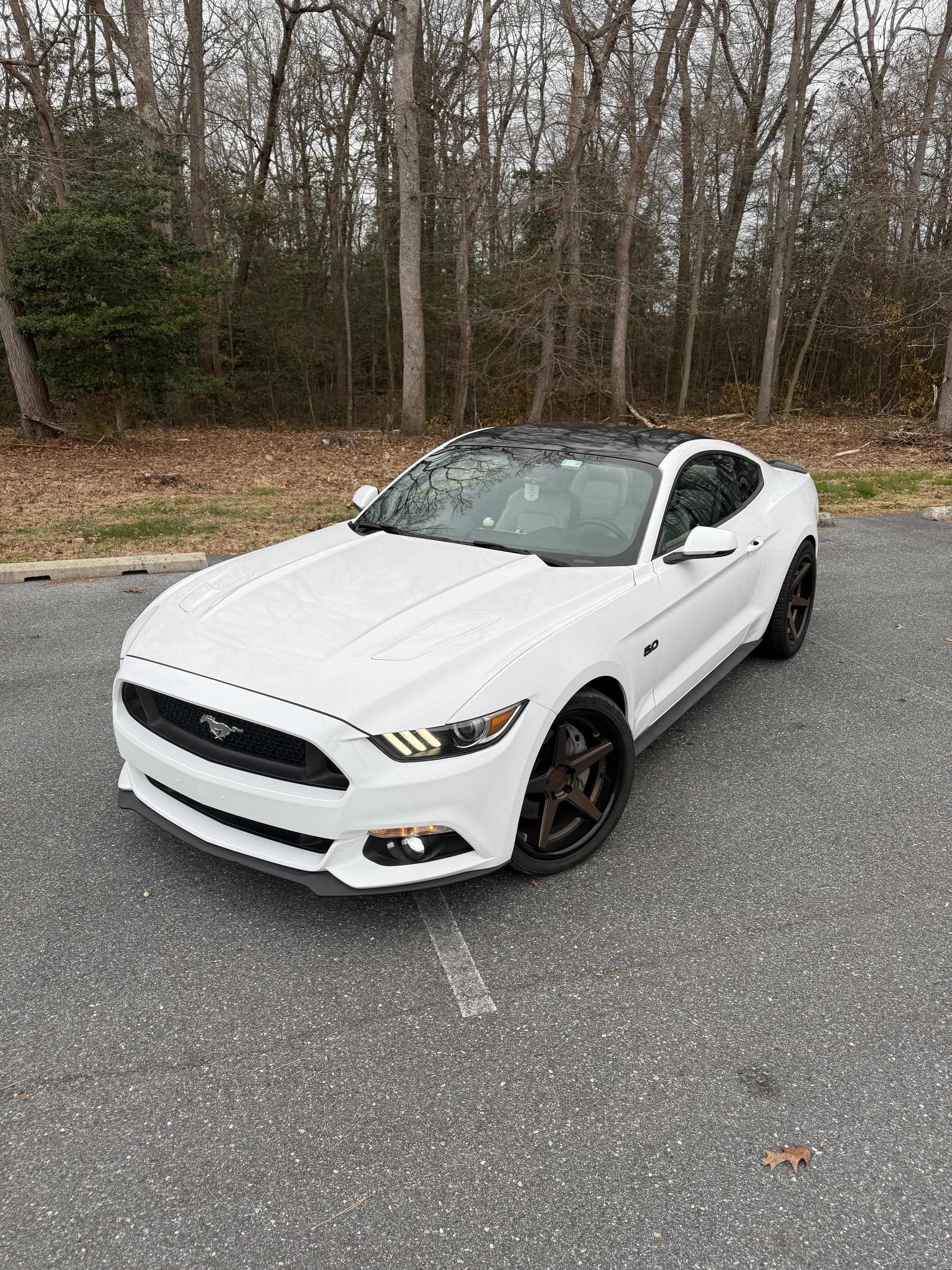 Full Wrap in Avery Dennison Gloss White