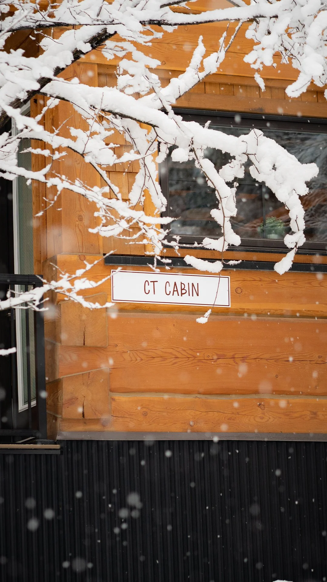 CT CABIN.jpg
