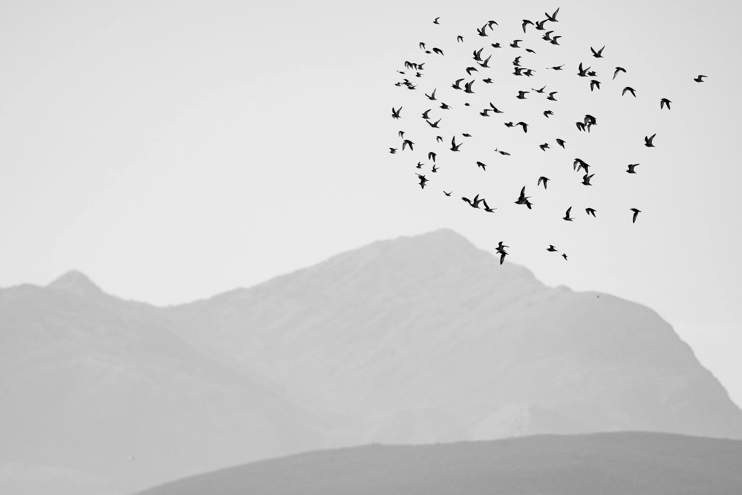 5 days in Amvrakikos