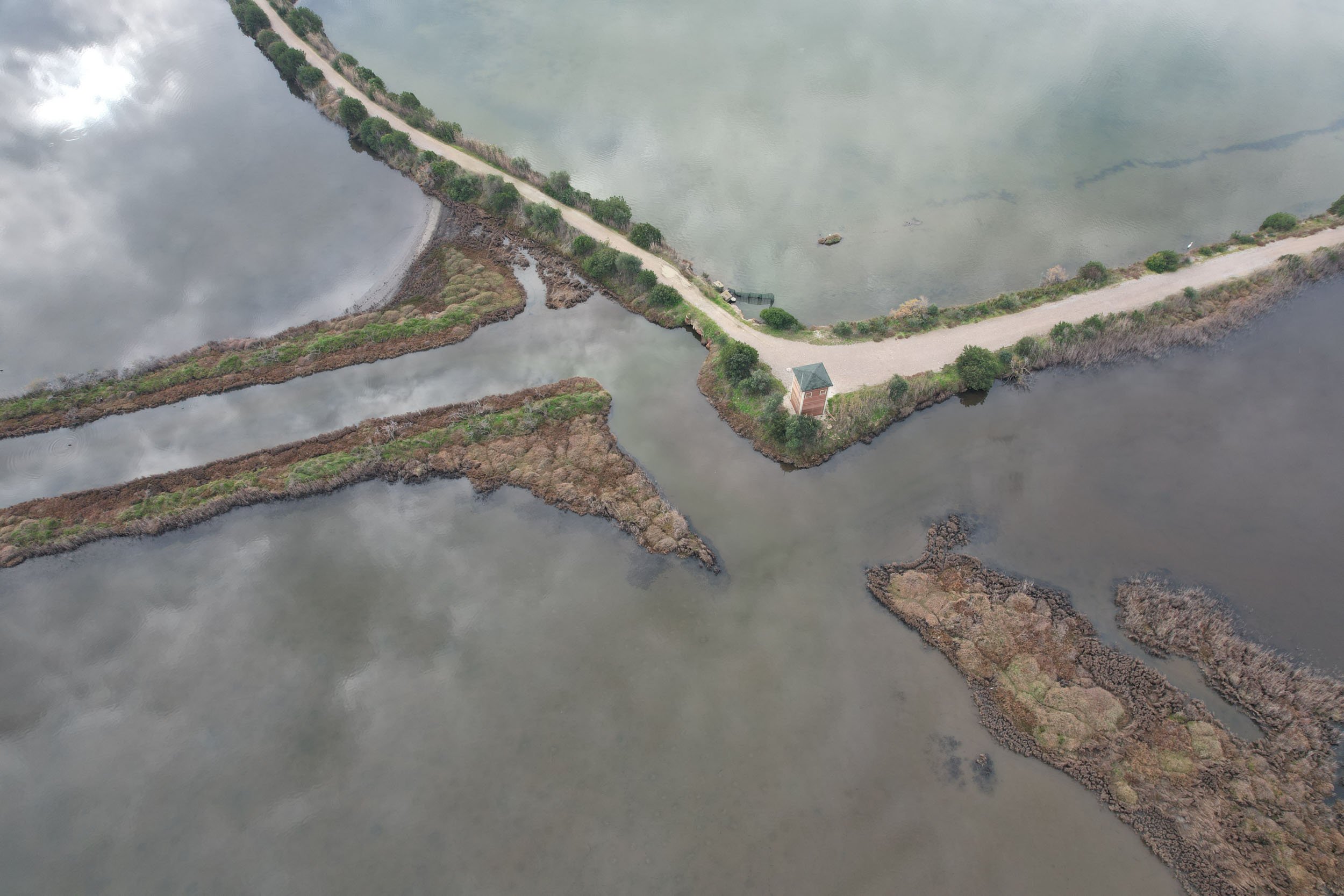 Celebrating the wetlands