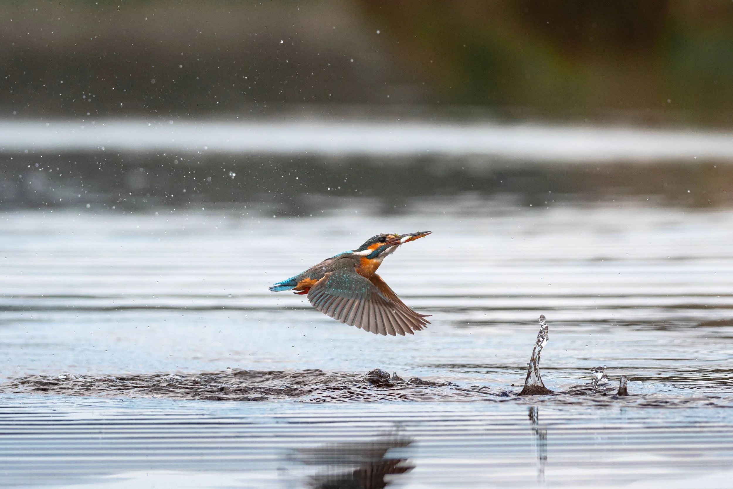 Youths Photography Workshop /GR