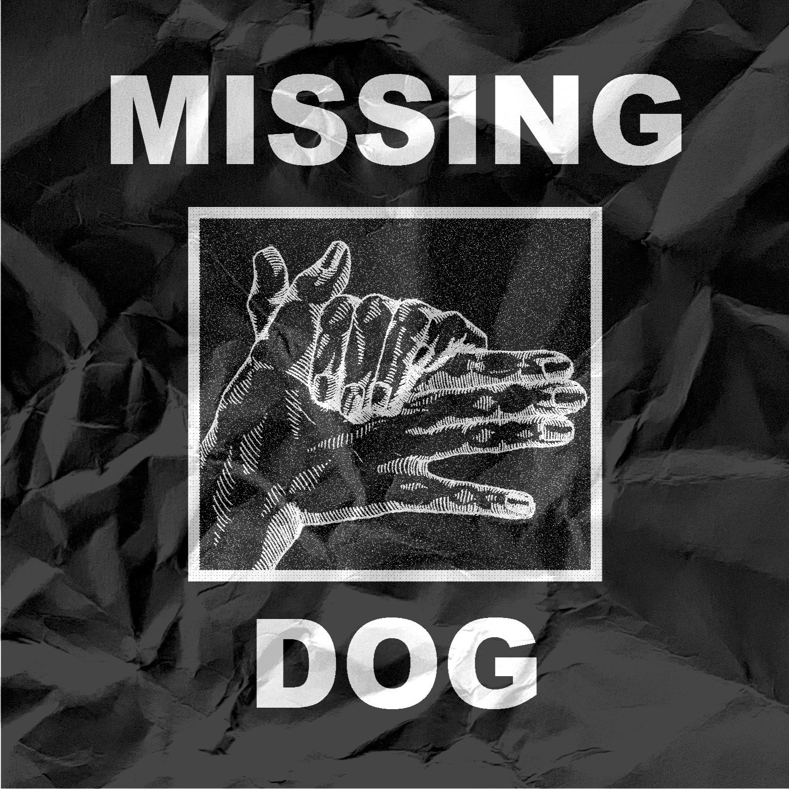 missingdog1.jpg