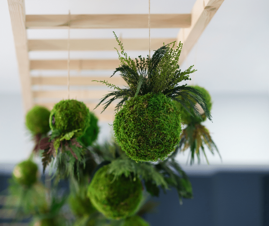 Flower Kokedama Workshop