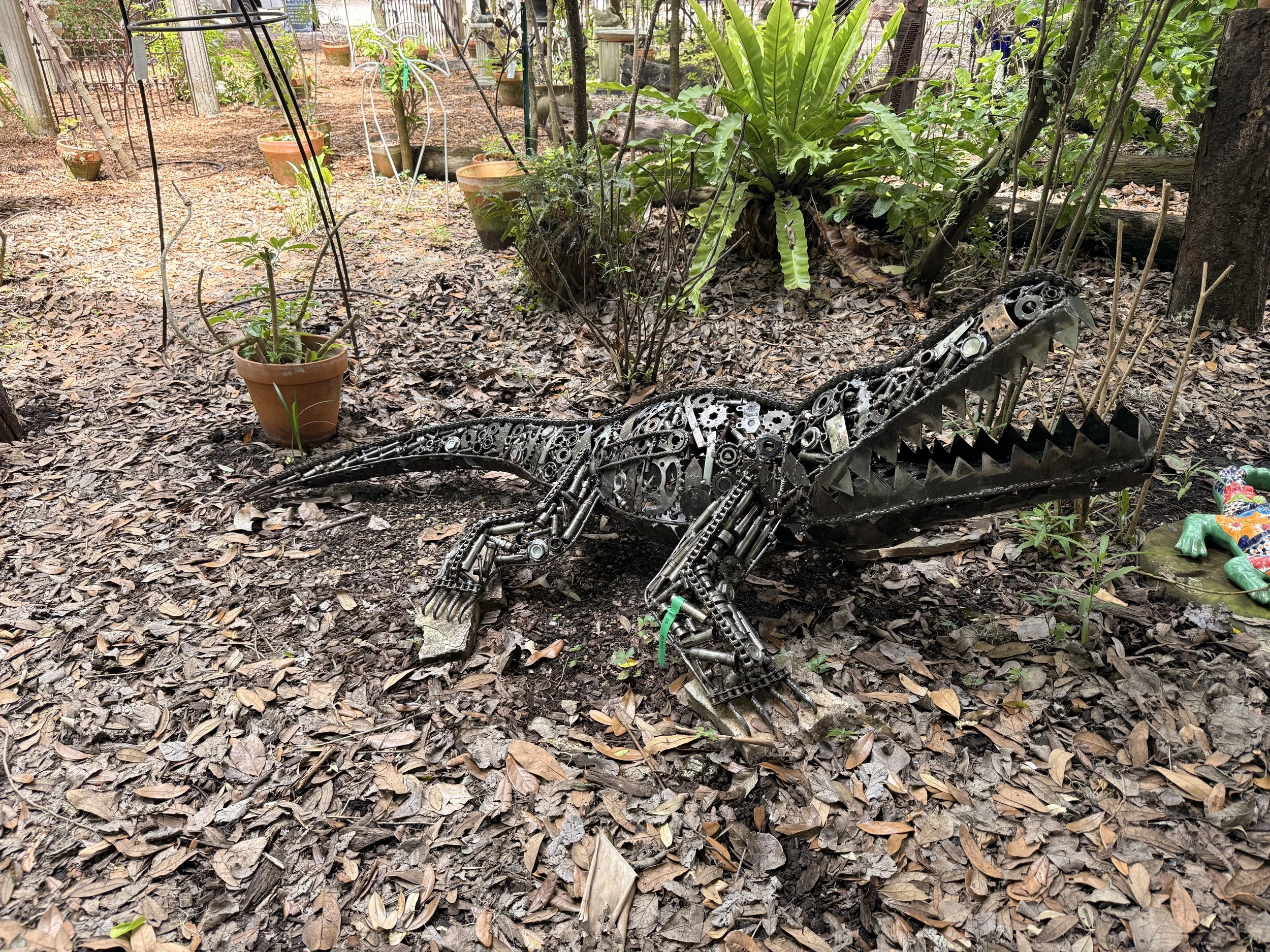 Alligator - $1,975