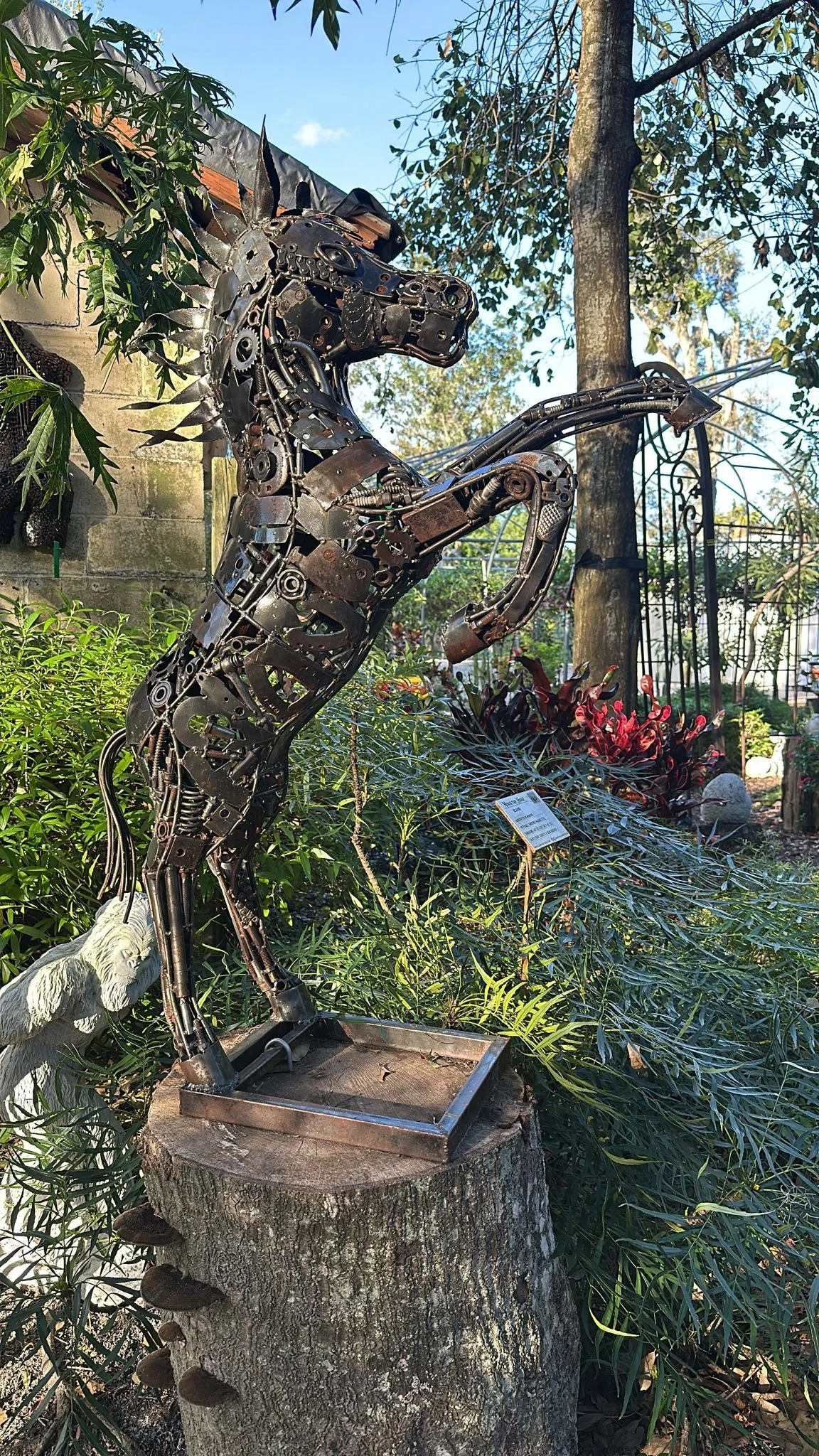 Minus the Horse -  $1,000  |  46" (H) X 20" (W) x 48" (D)  |  Enjoys baby carrots & being brushed