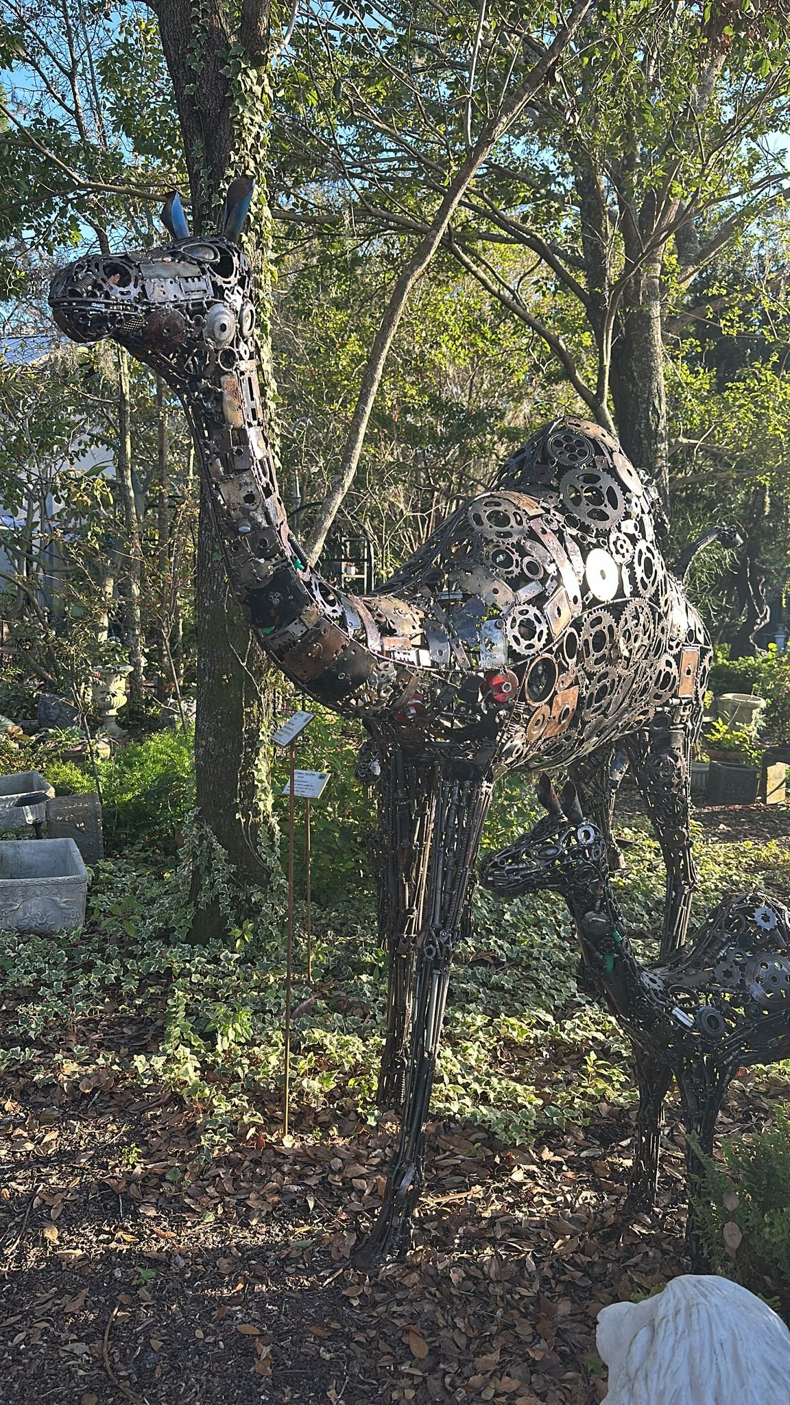 Zak the Camel - $3,750  |  79" (H) X 19" (W) x 88" (D)  |  Enjoys spring water and Wednesdays 