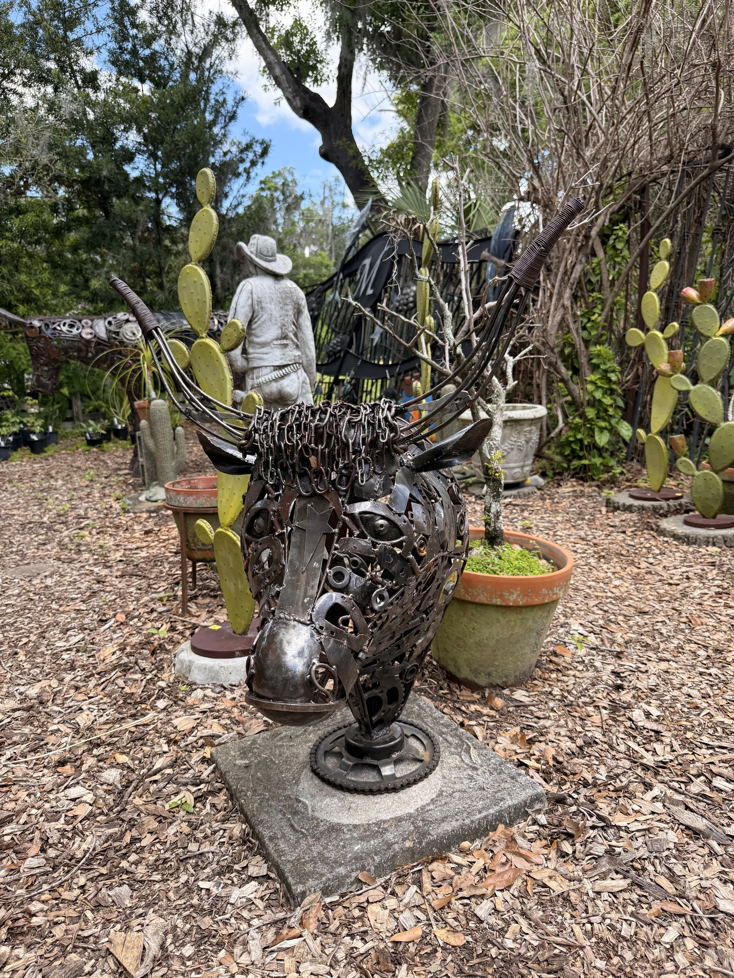 Bull Head - $725  |  34" x 22" x 30"