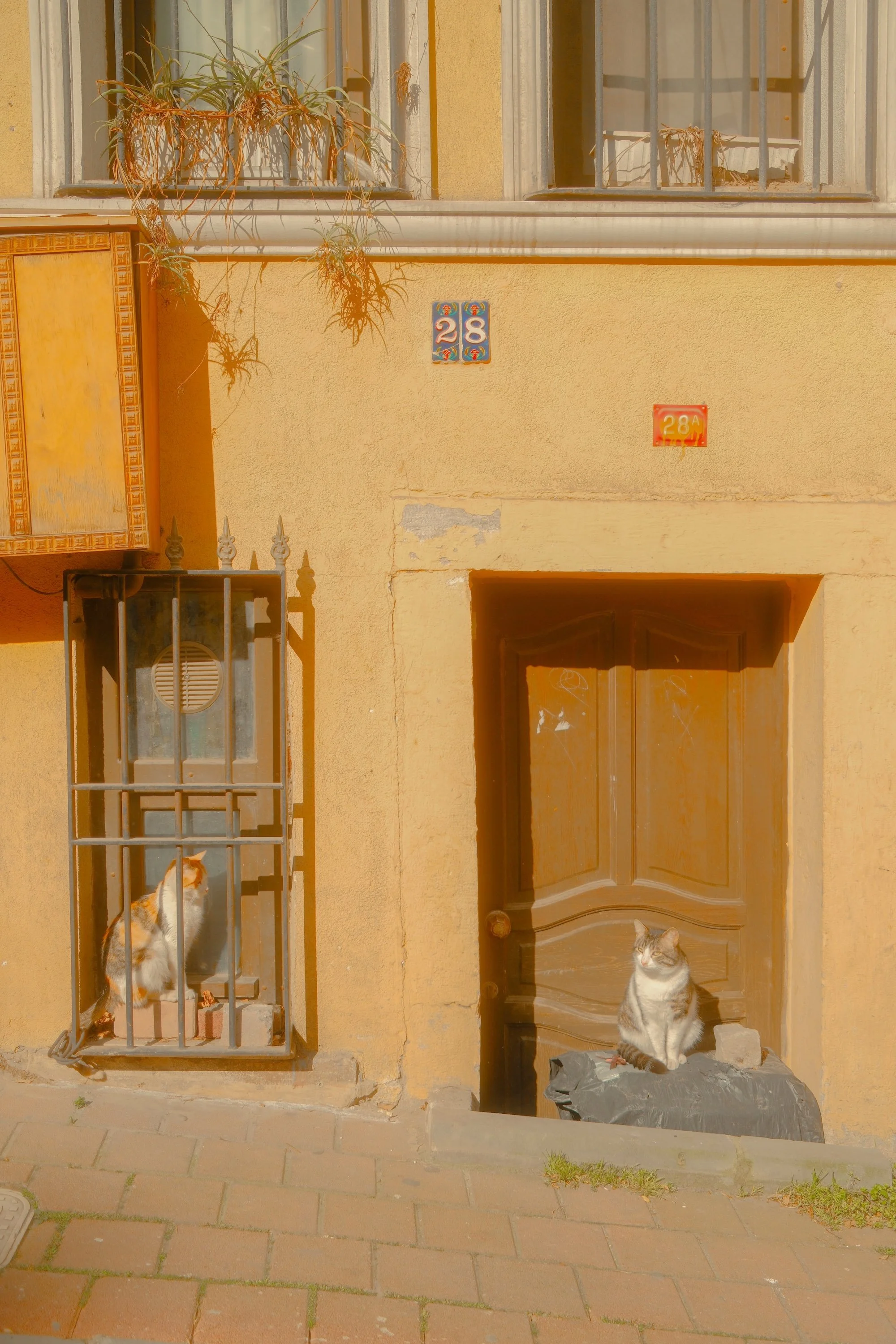 Copy of balat-30.jpg