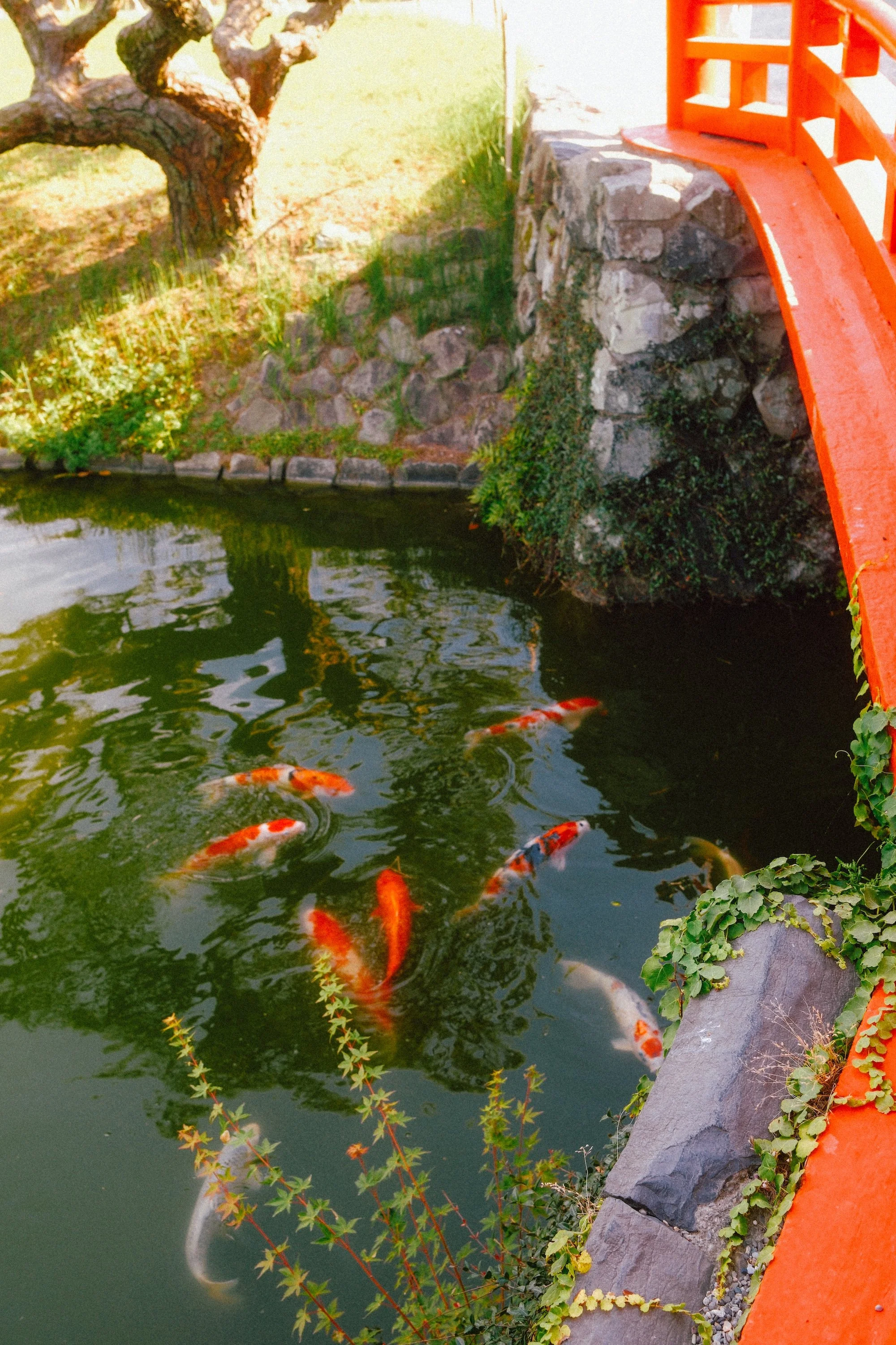 DSCF9450-2.jpg
