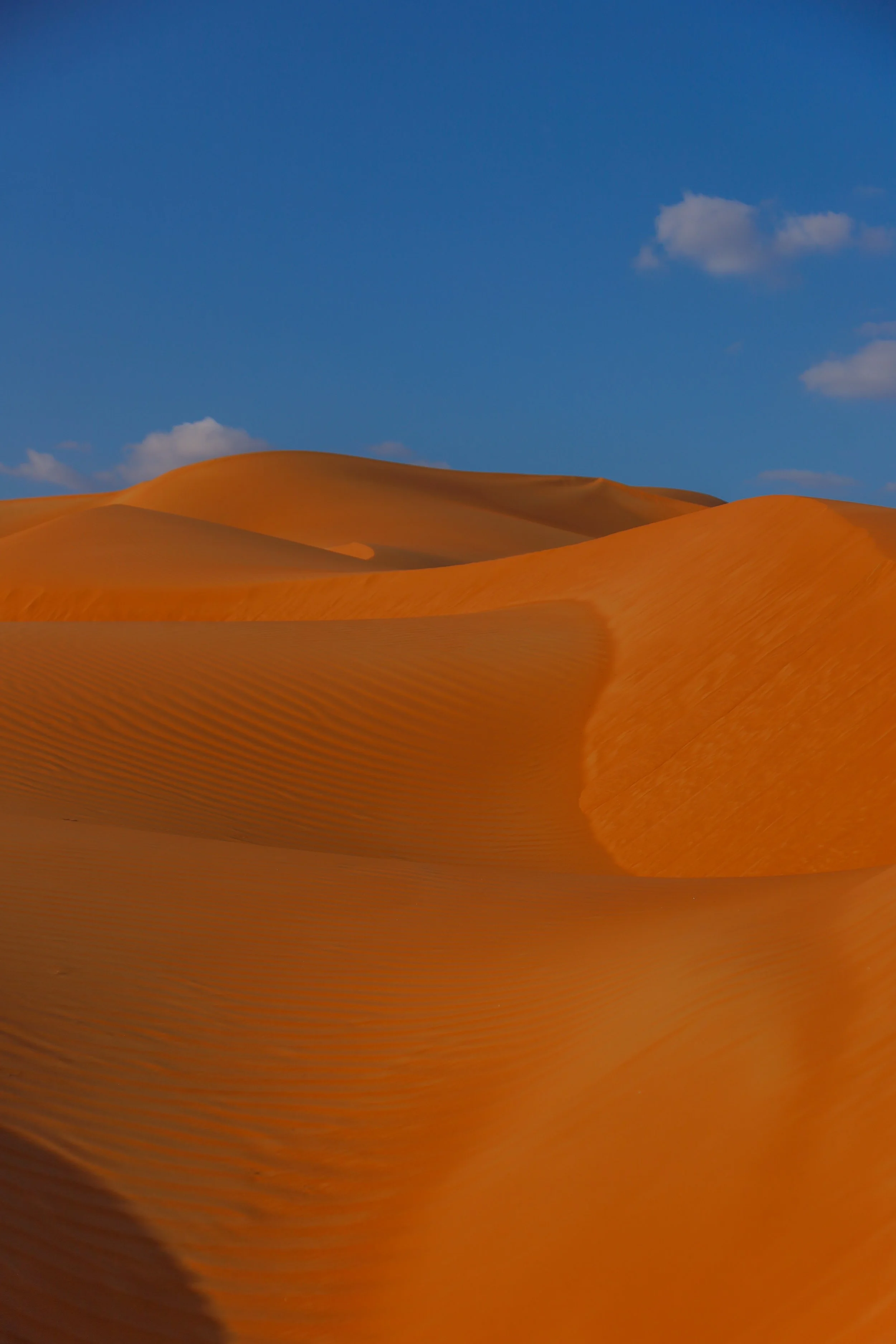 Desert-Canon-40.jpg