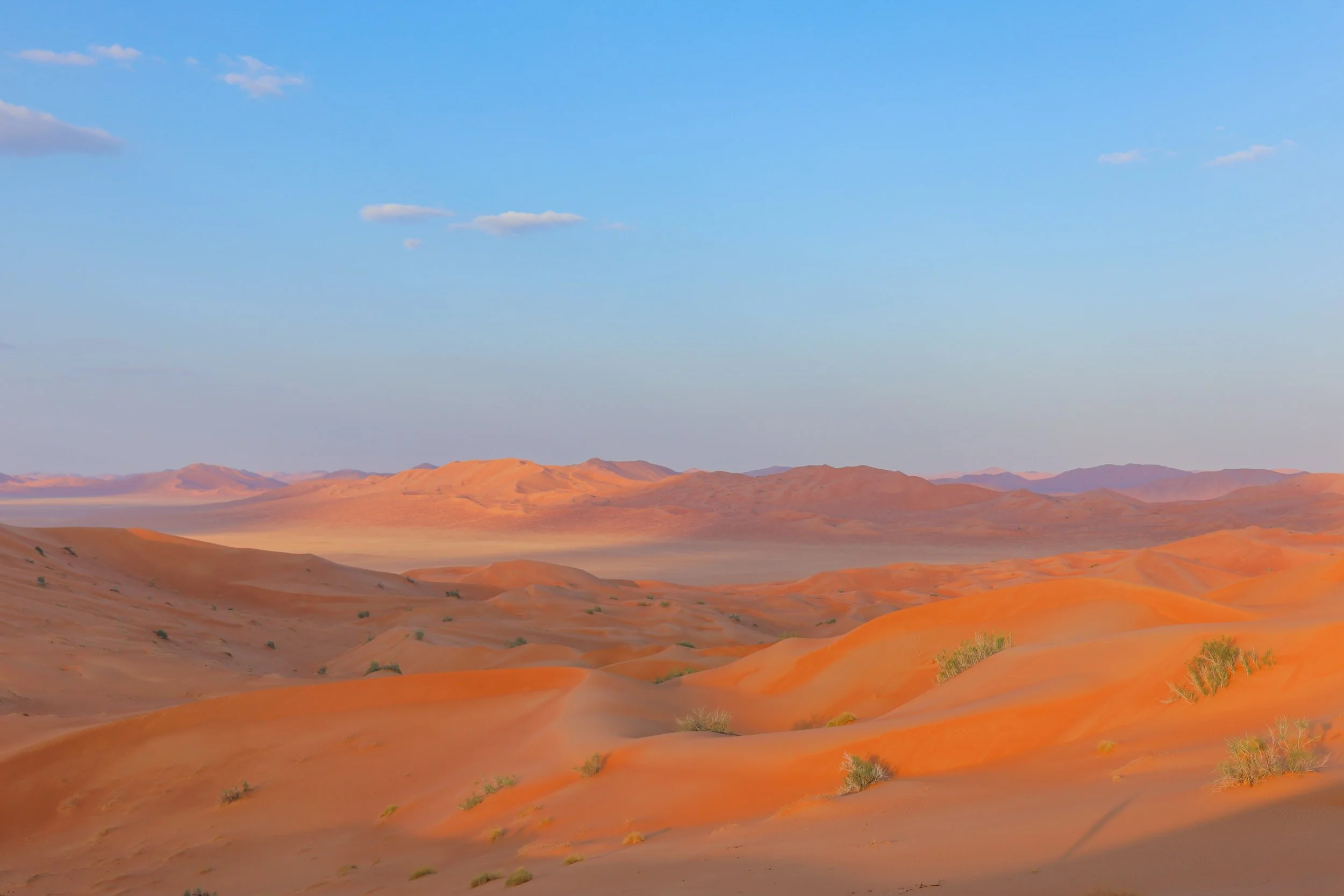 Desert-Canon-50.jpg