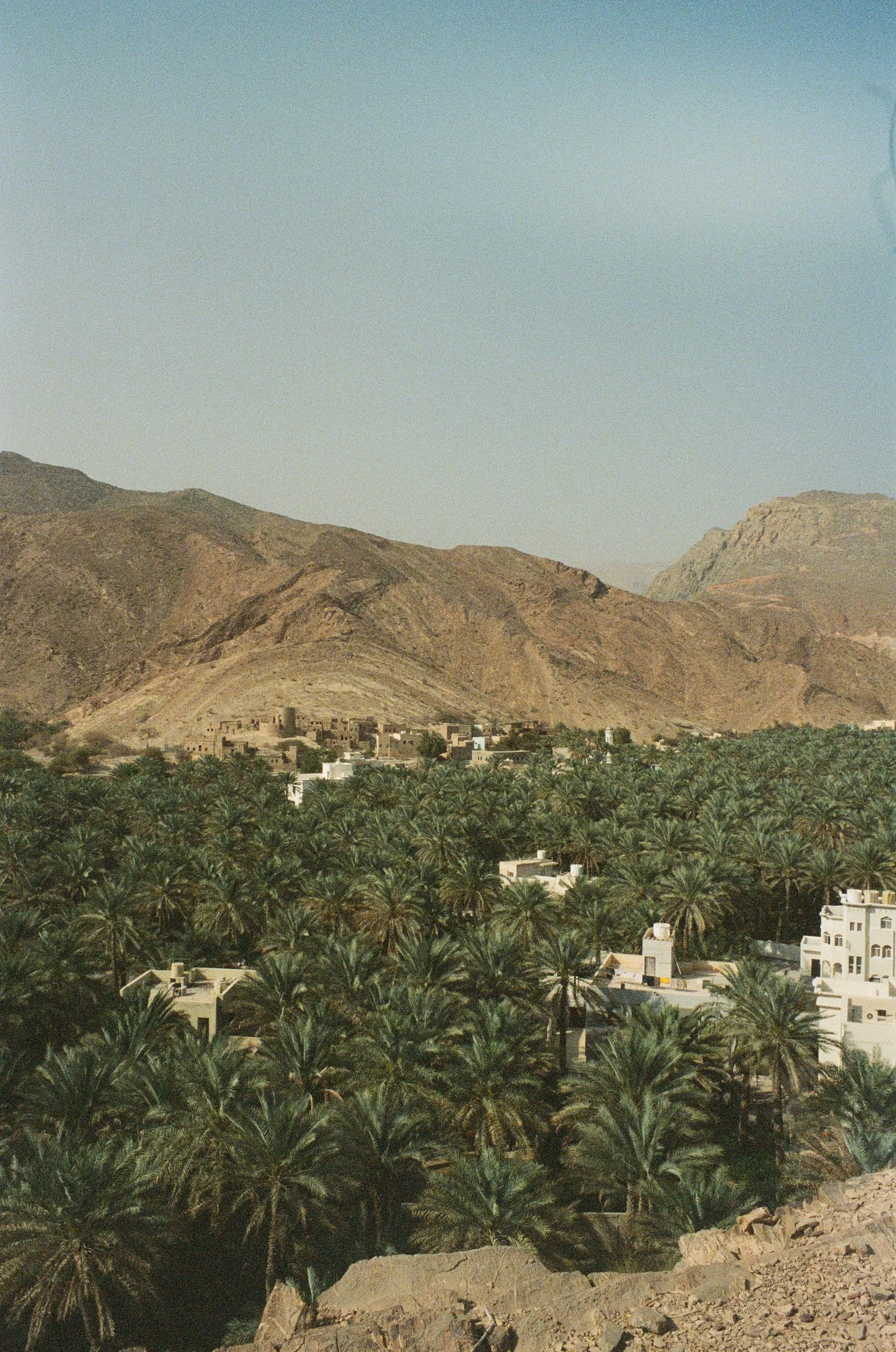 000066320017.jpg