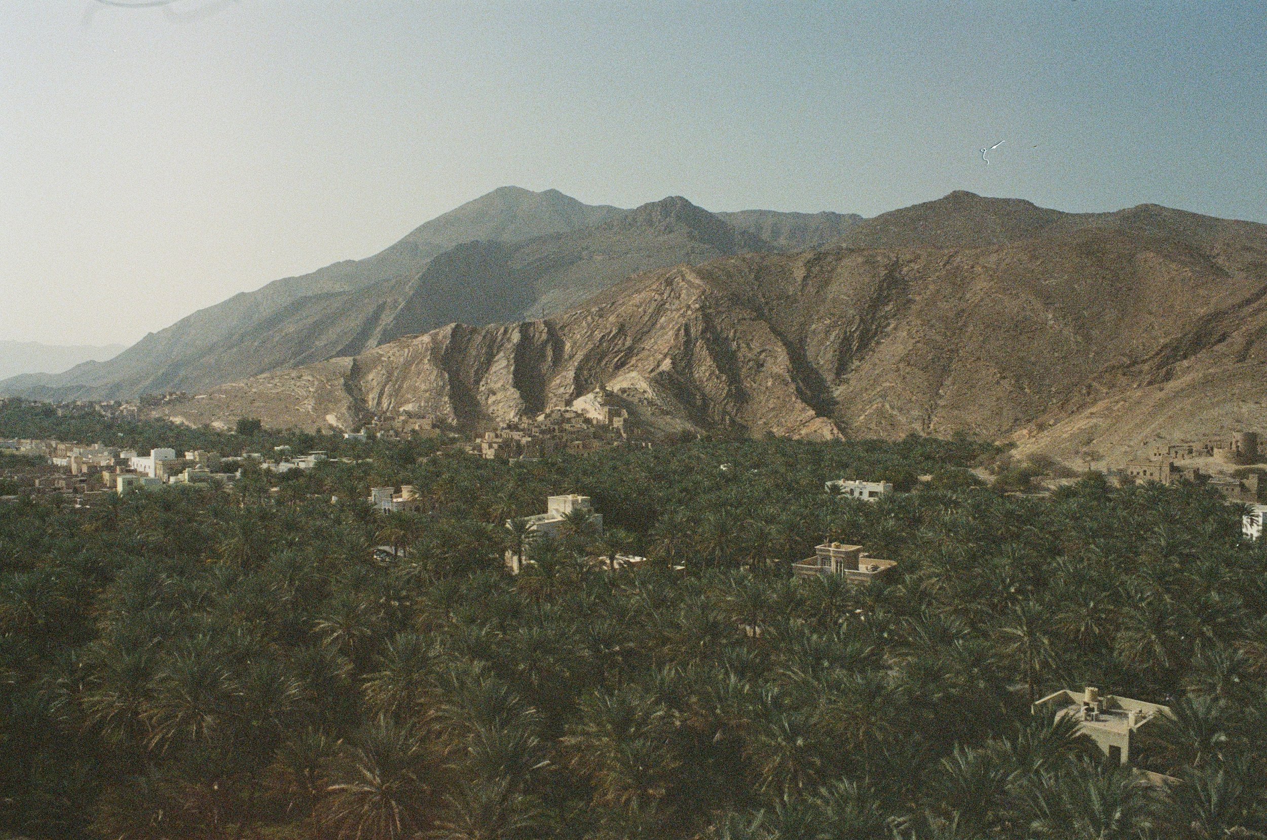 000066320016.jpg