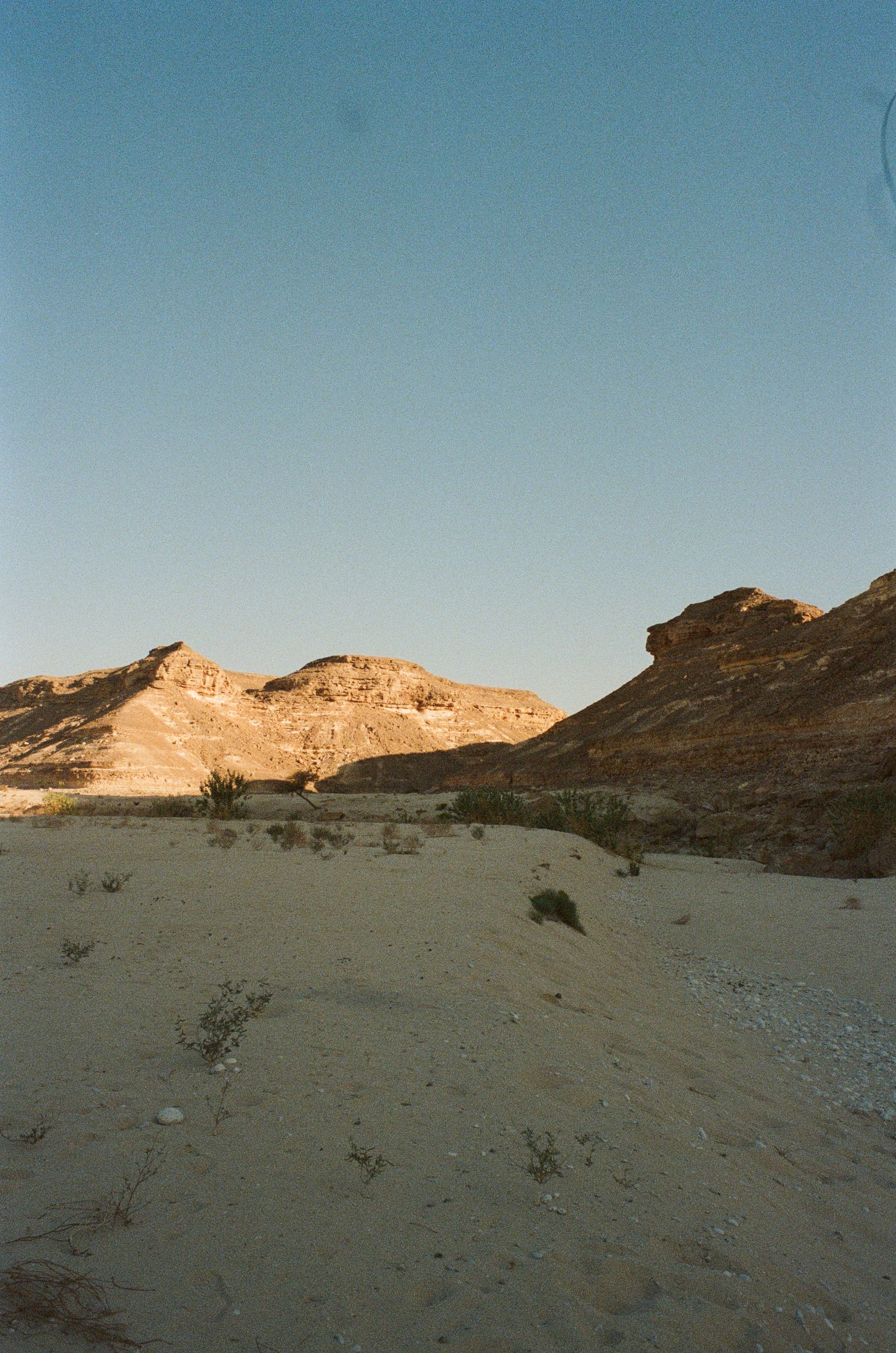 000066320028.jpg