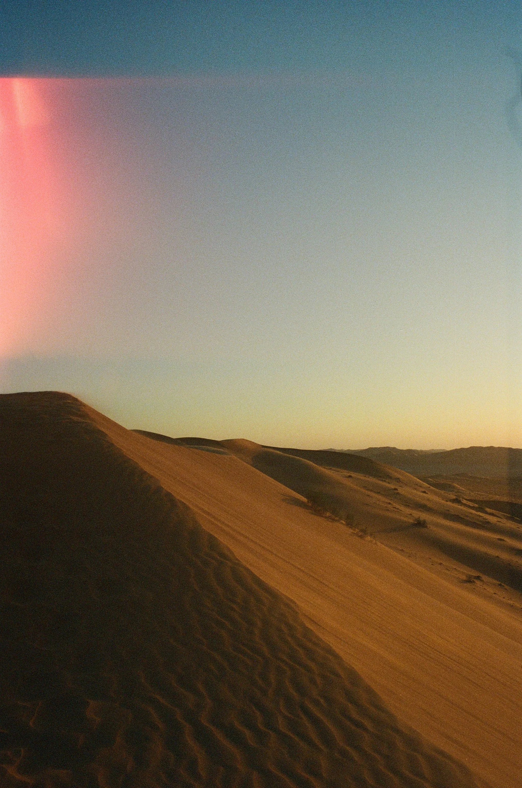 000066330007.jpg