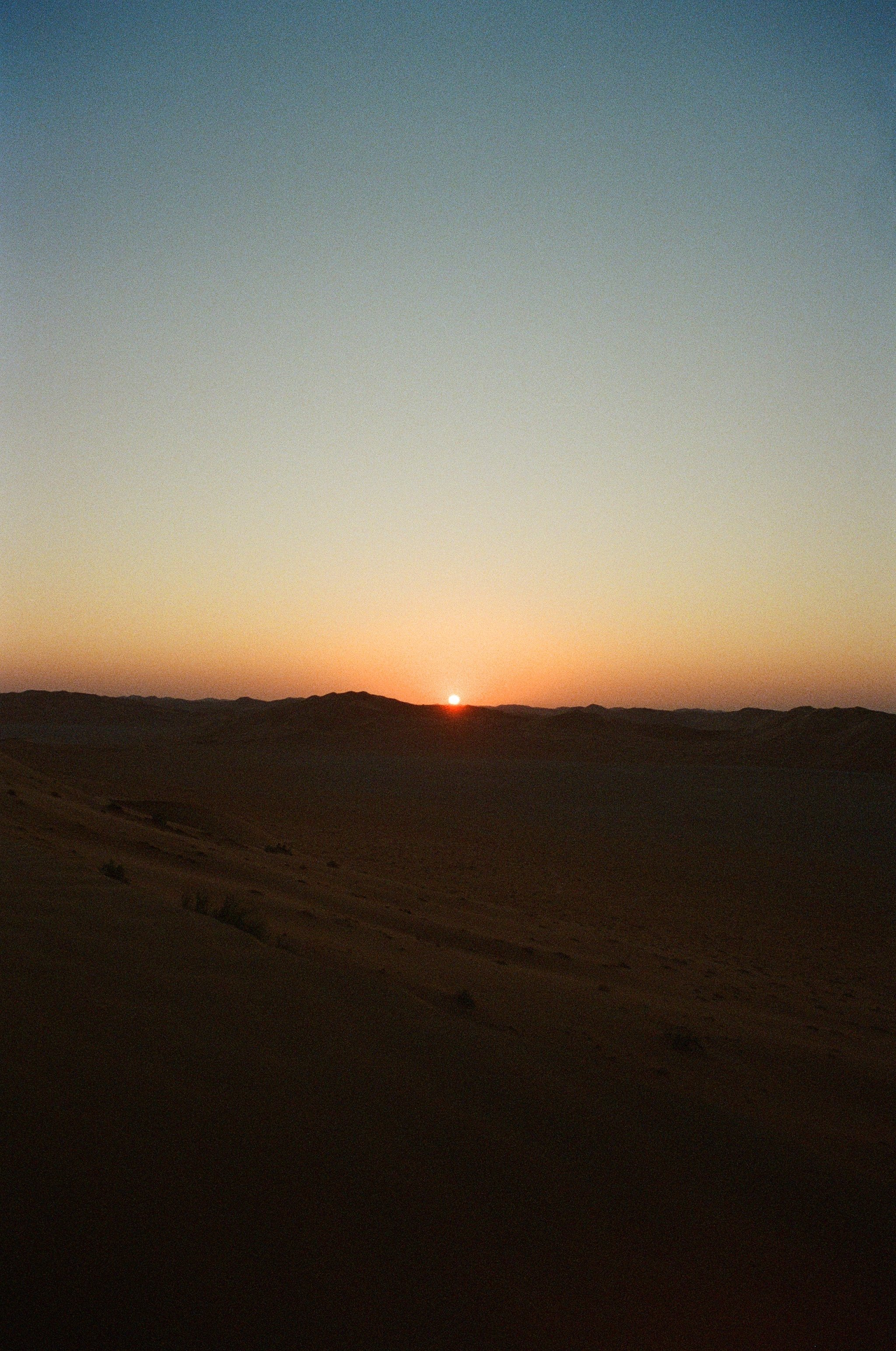 000066330010.jpg