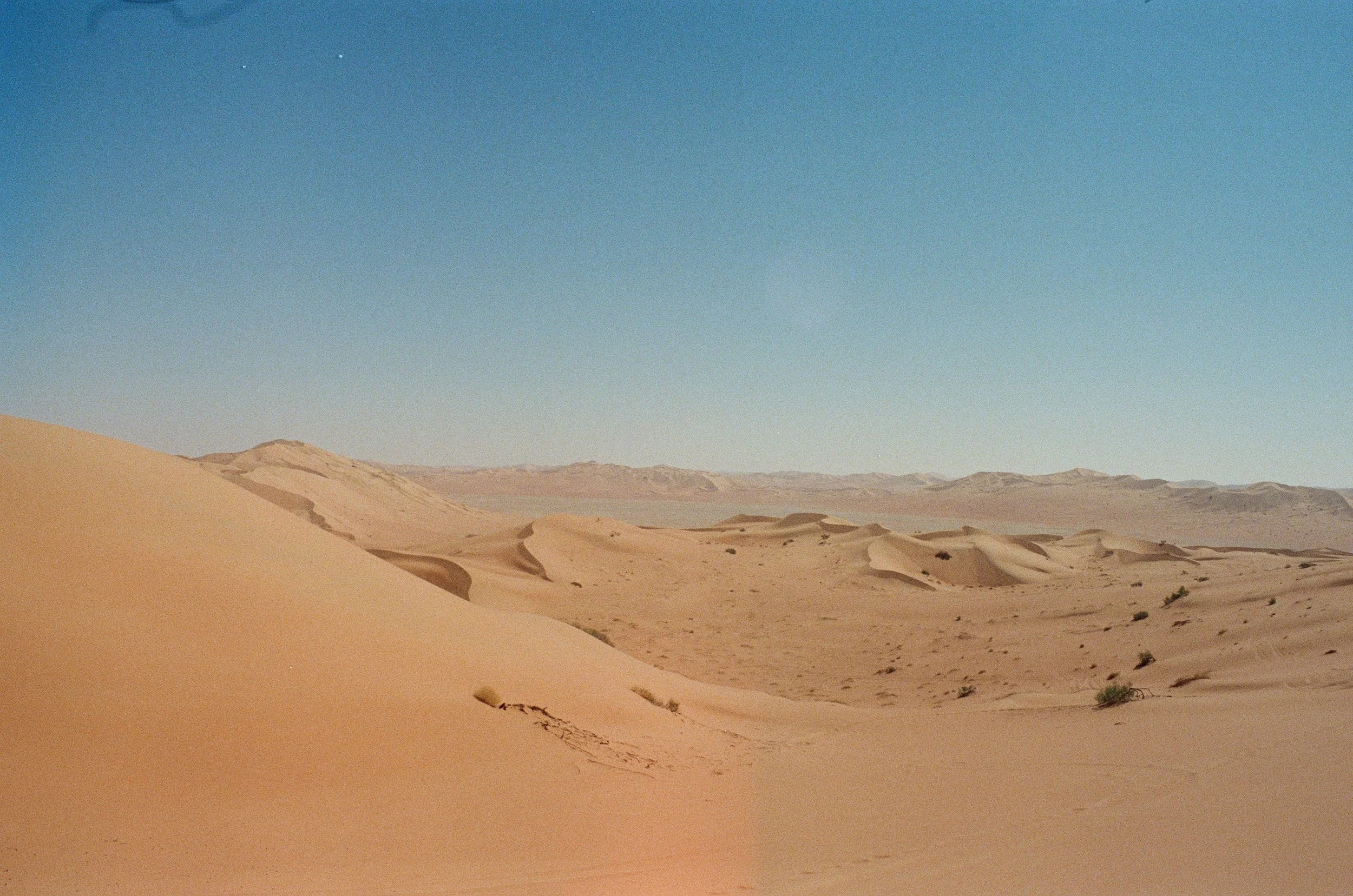 000066330014.jpg
