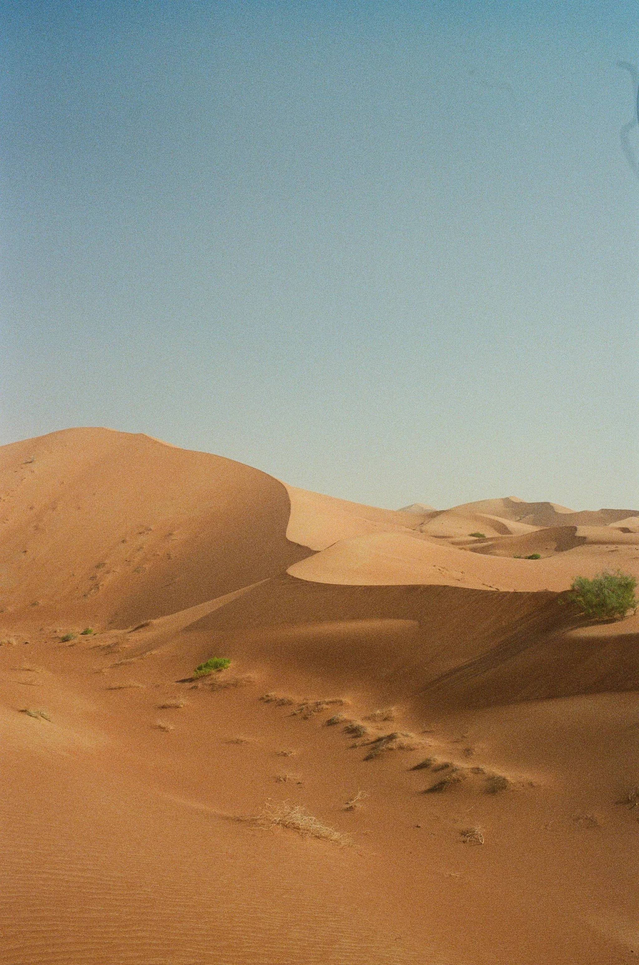 000066330022.jpg