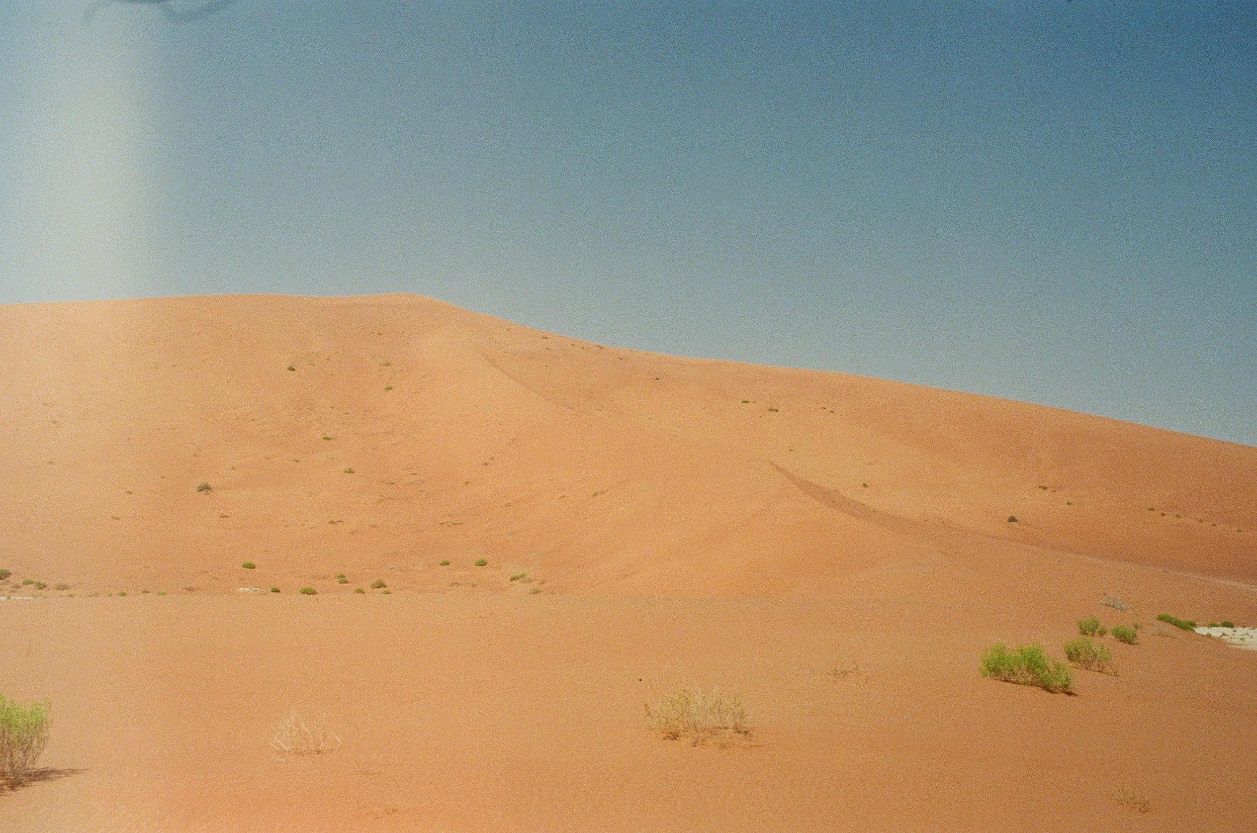 000066330024.jpg