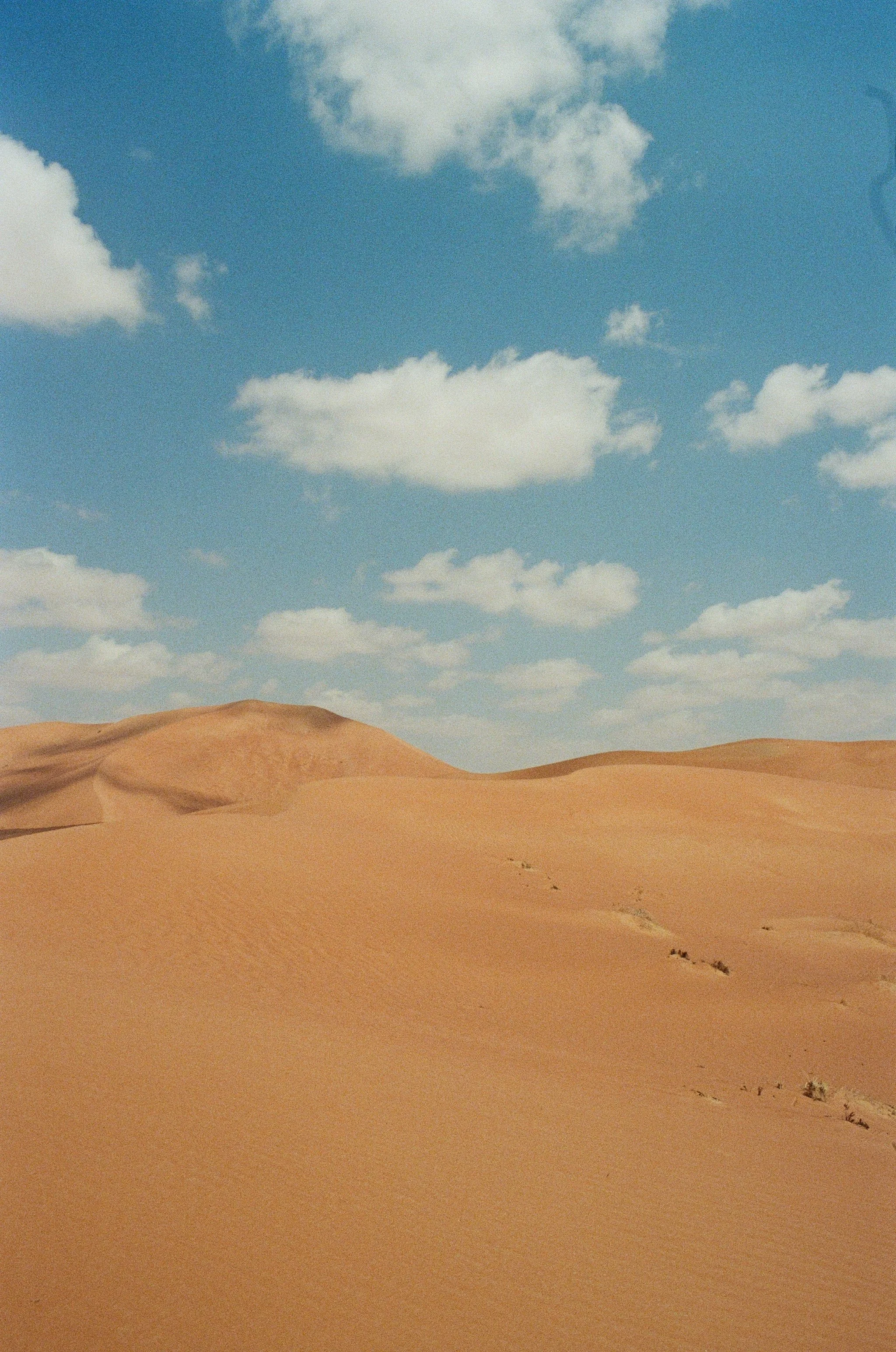 000066330025.jpg