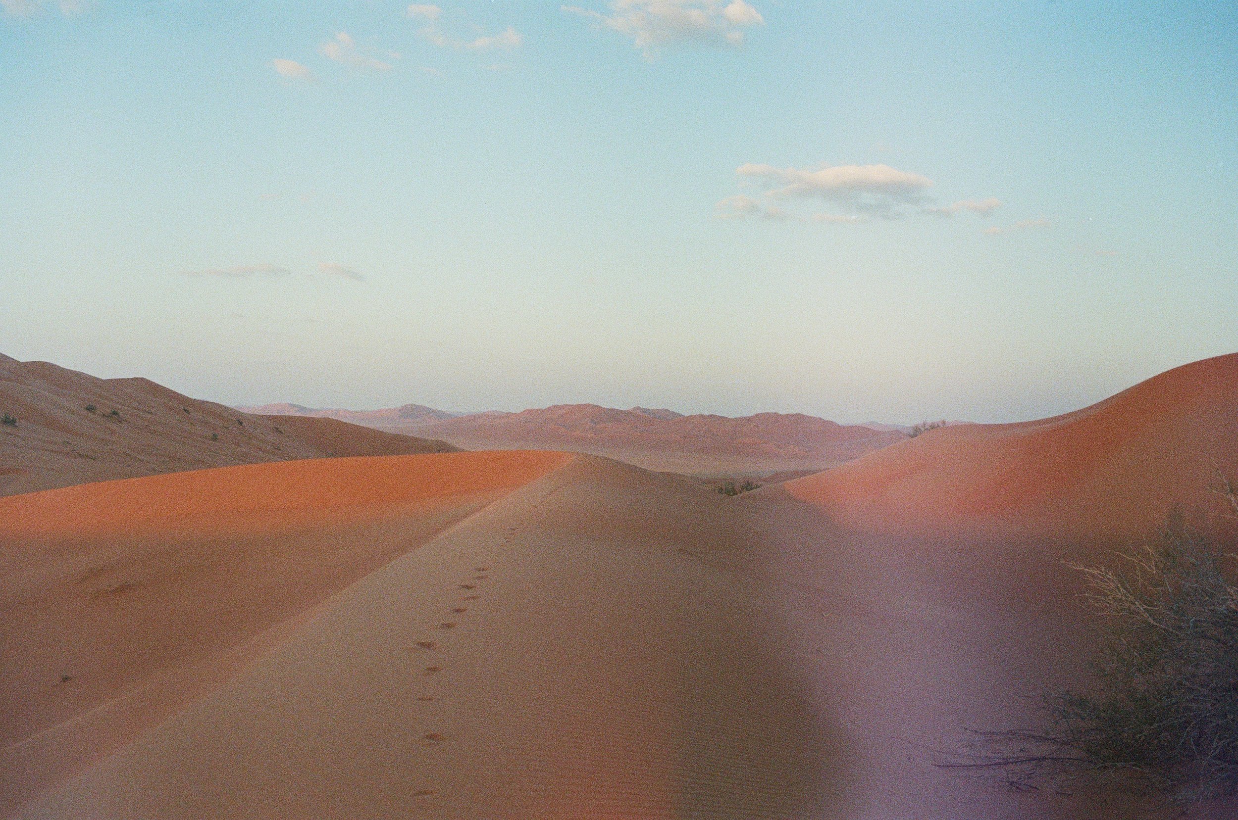 000066330030.jpg
