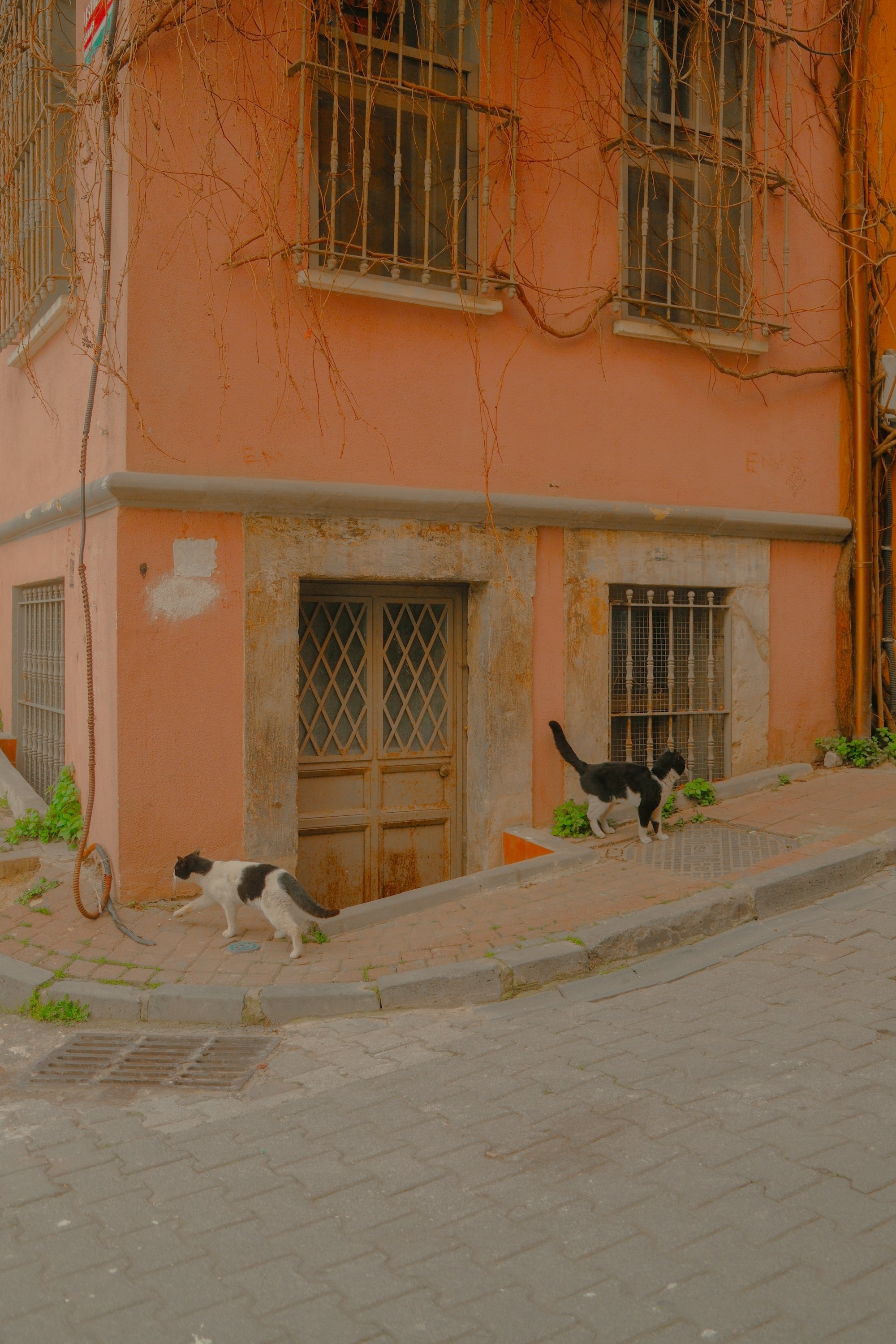 Copy of balat-26.jpg