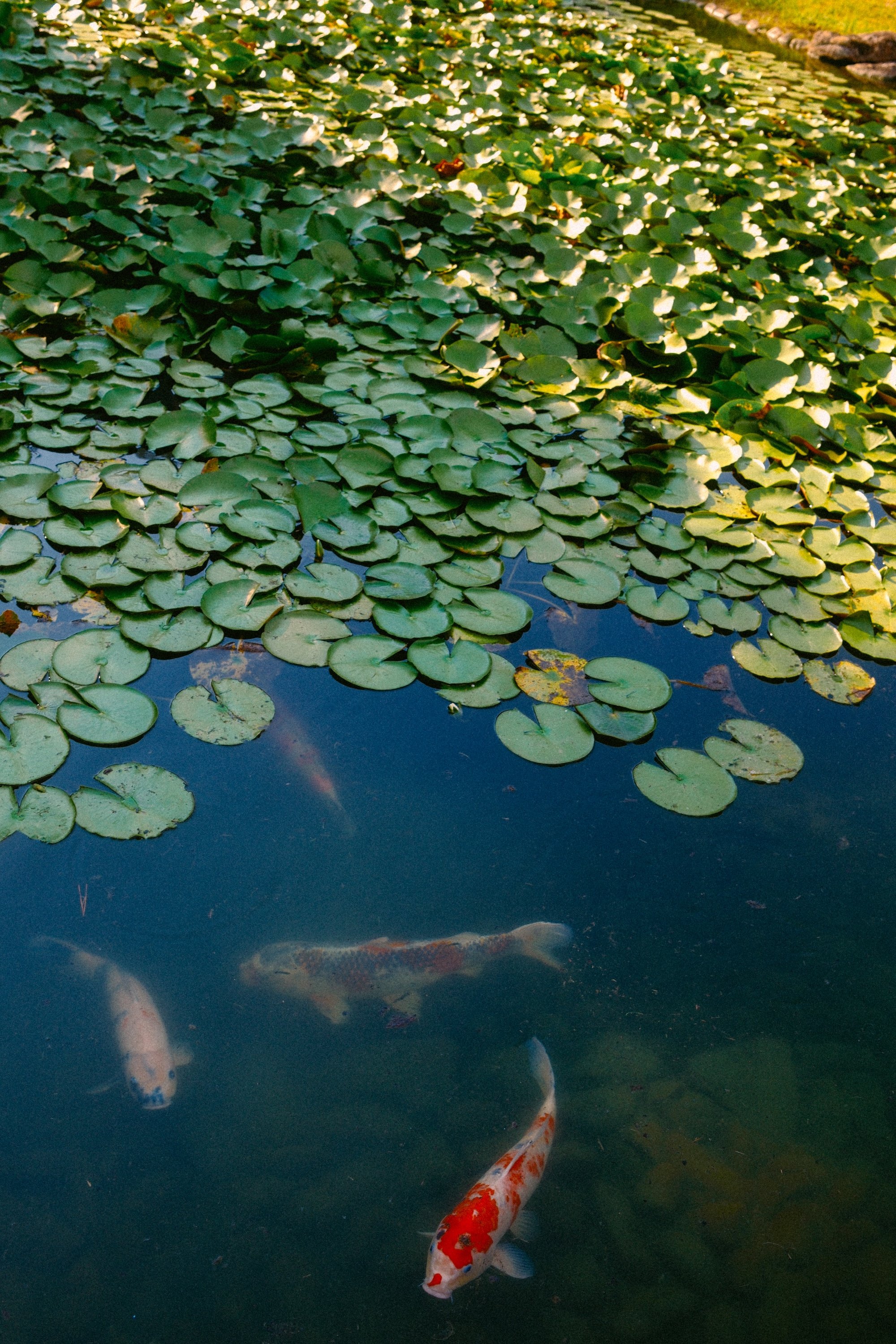 DSCF9483-2.jpg