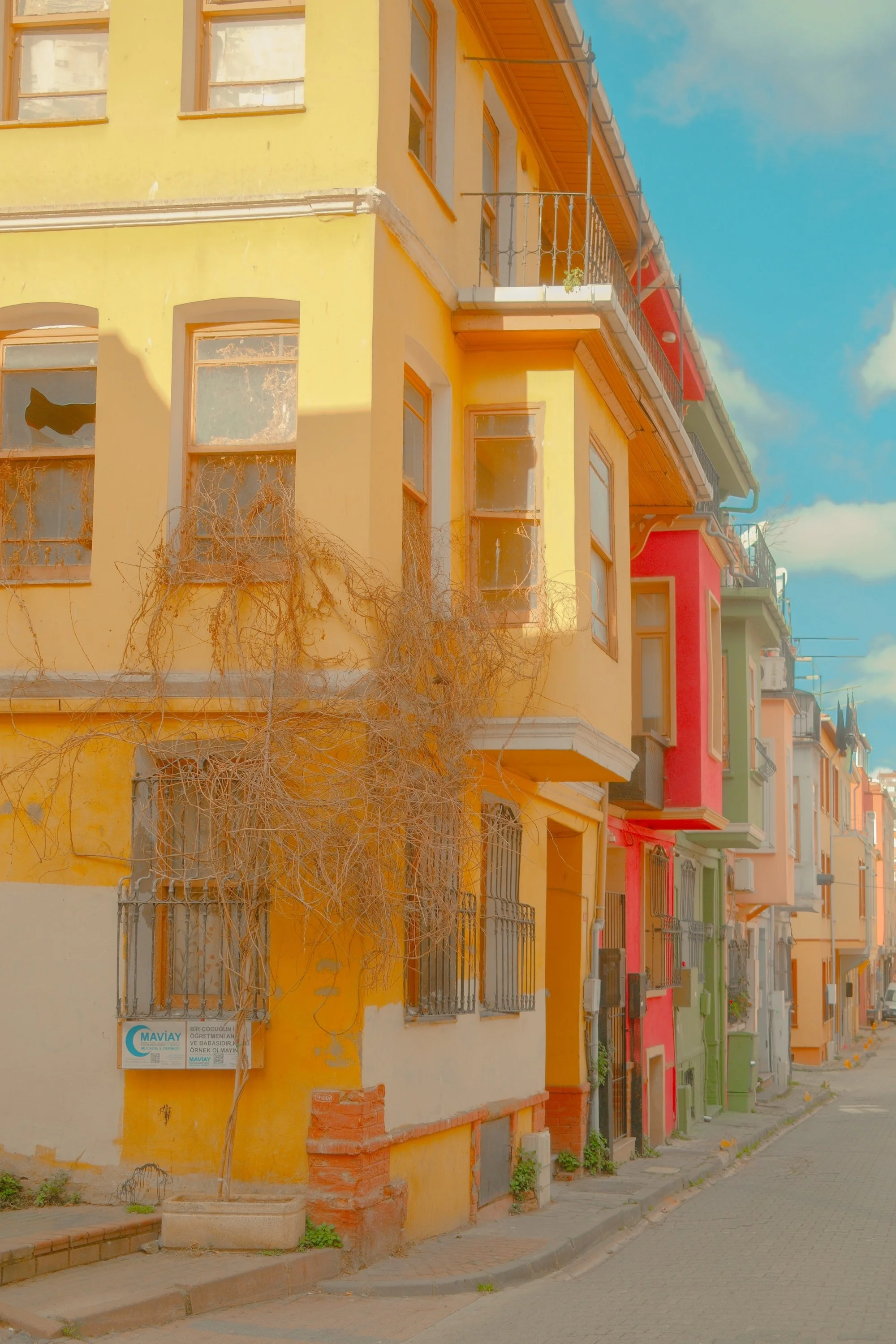 Copy of balat-35.jpg