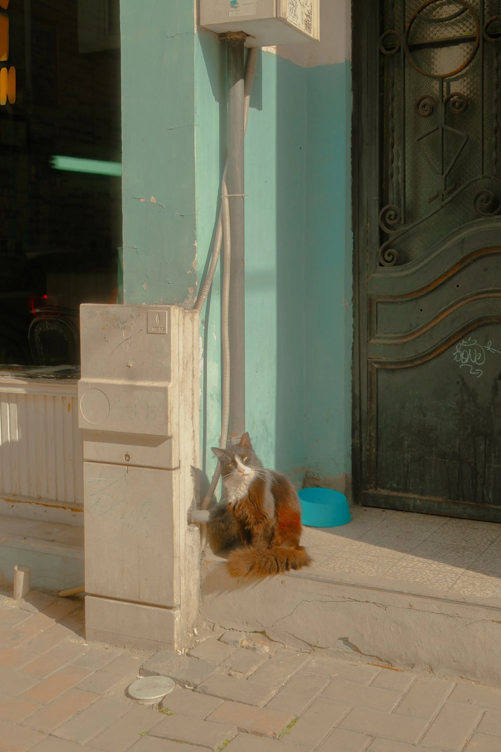 Copy of balat-43.jpg