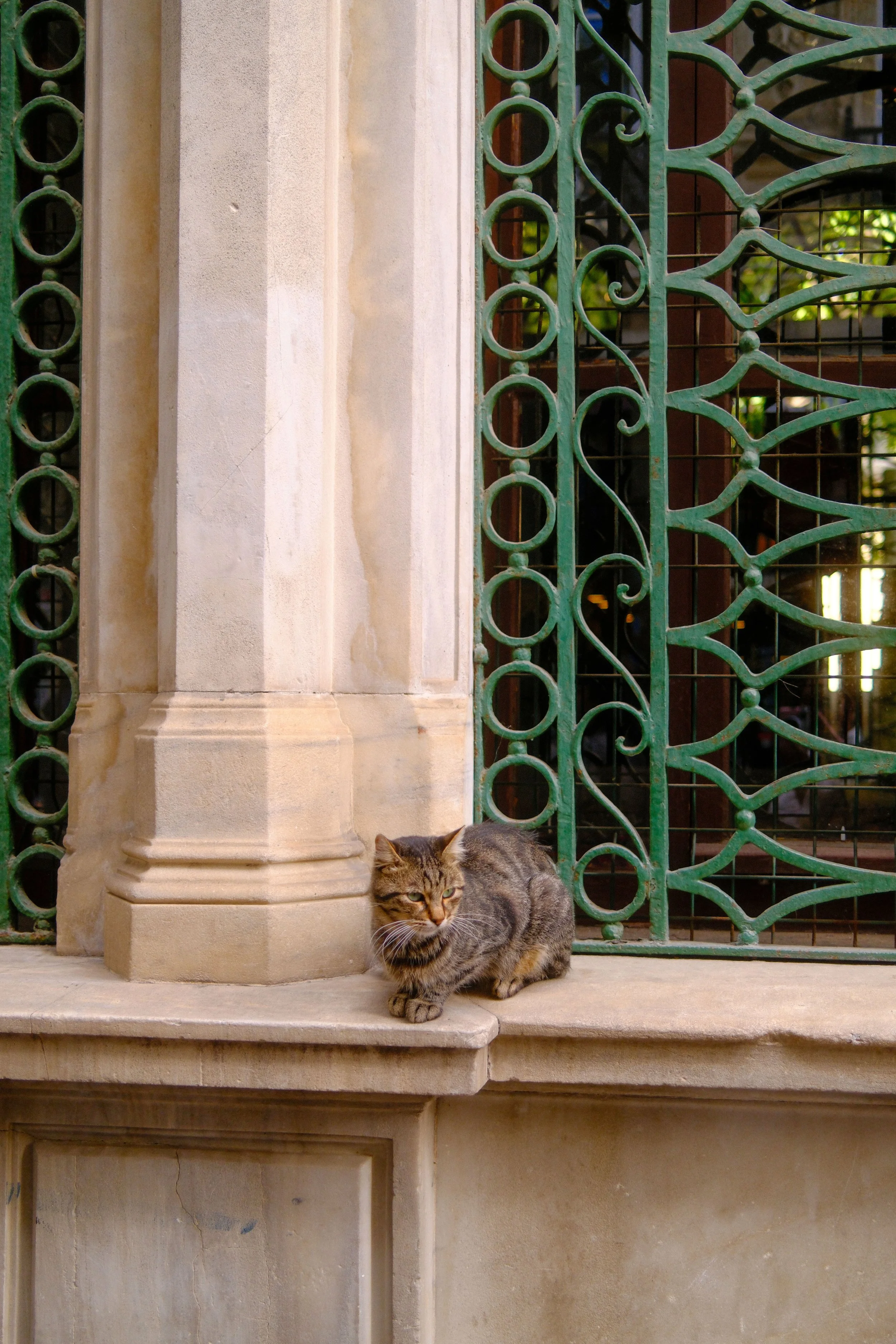 DSCF0137.JPG