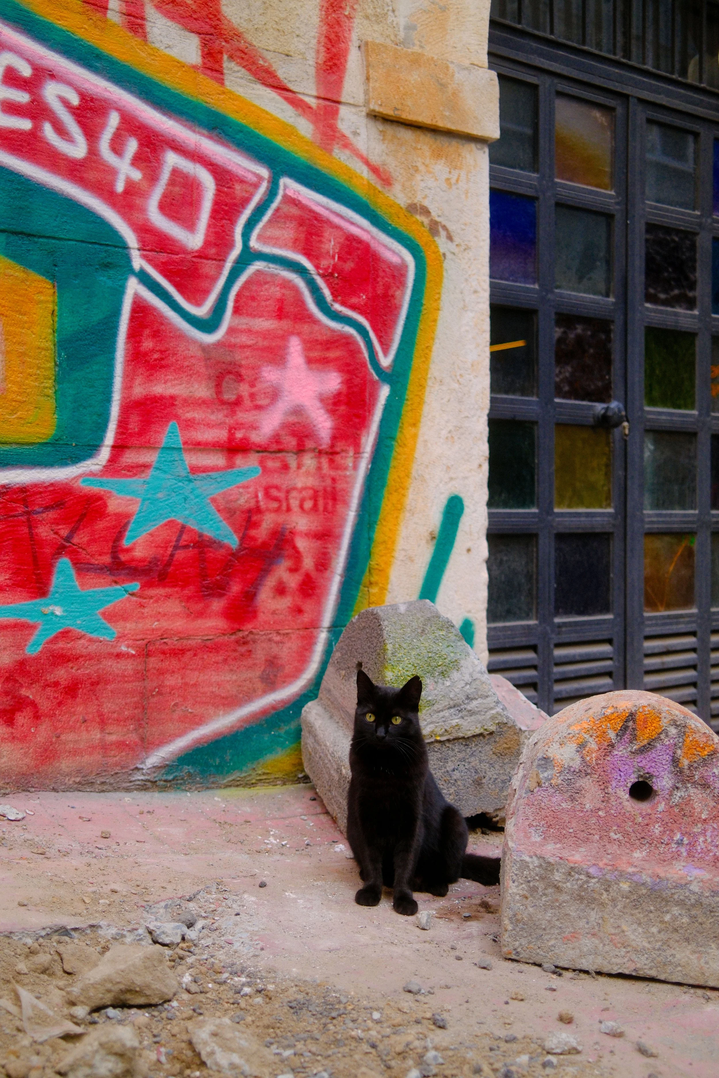 DSCF0207.JPG