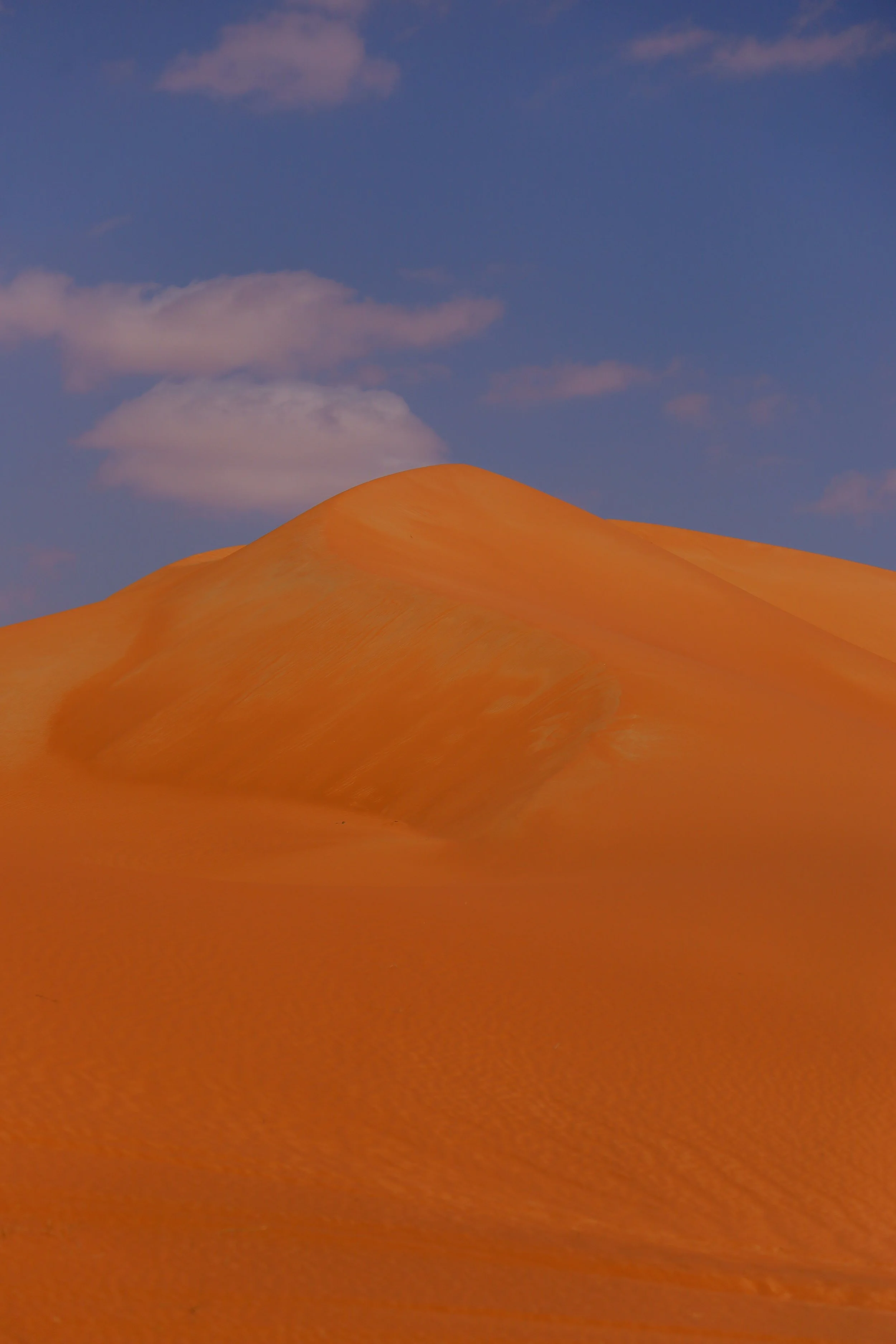 Desert-Canon-32.jpg