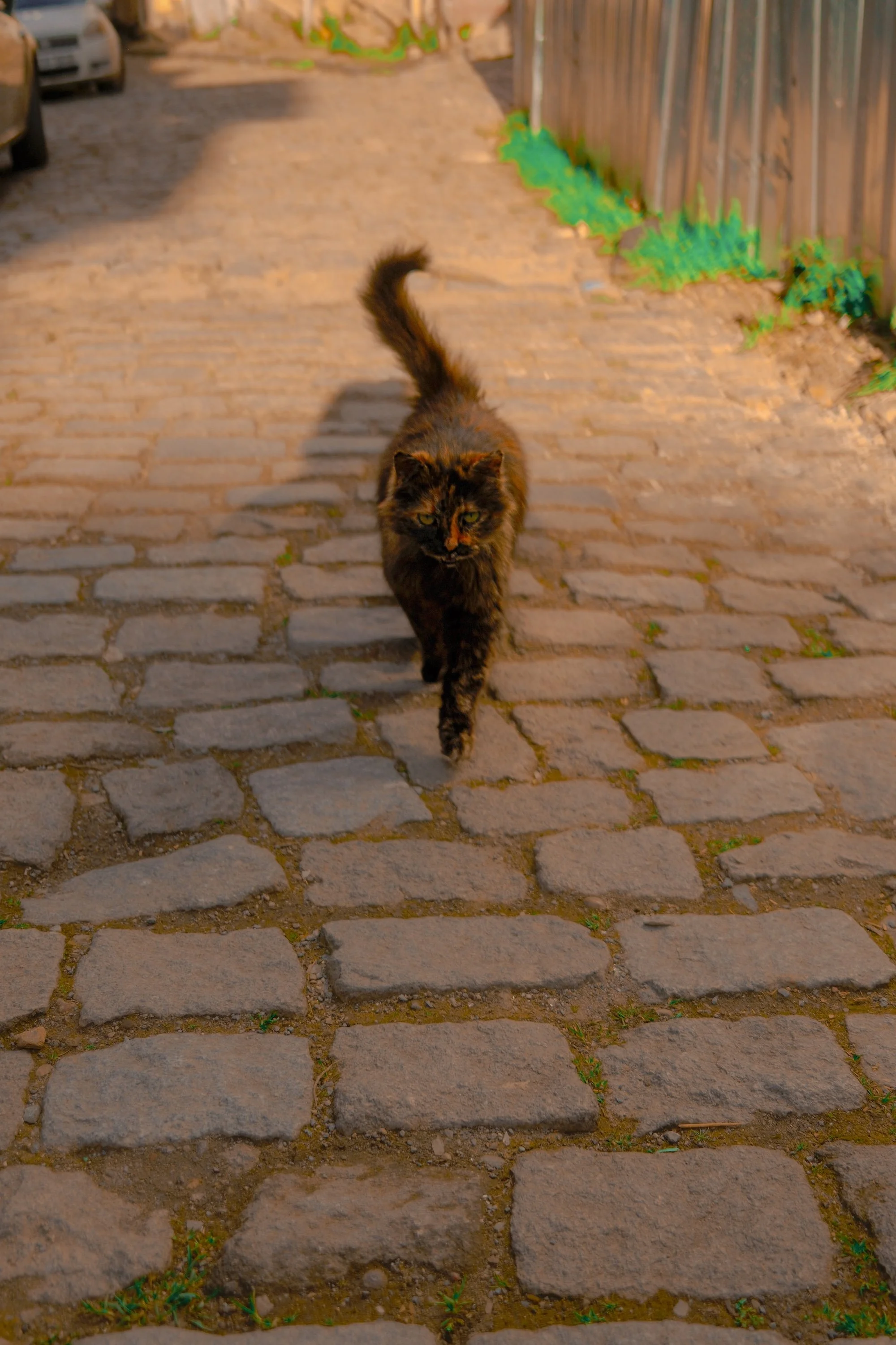 Copy of balat-16.jpg