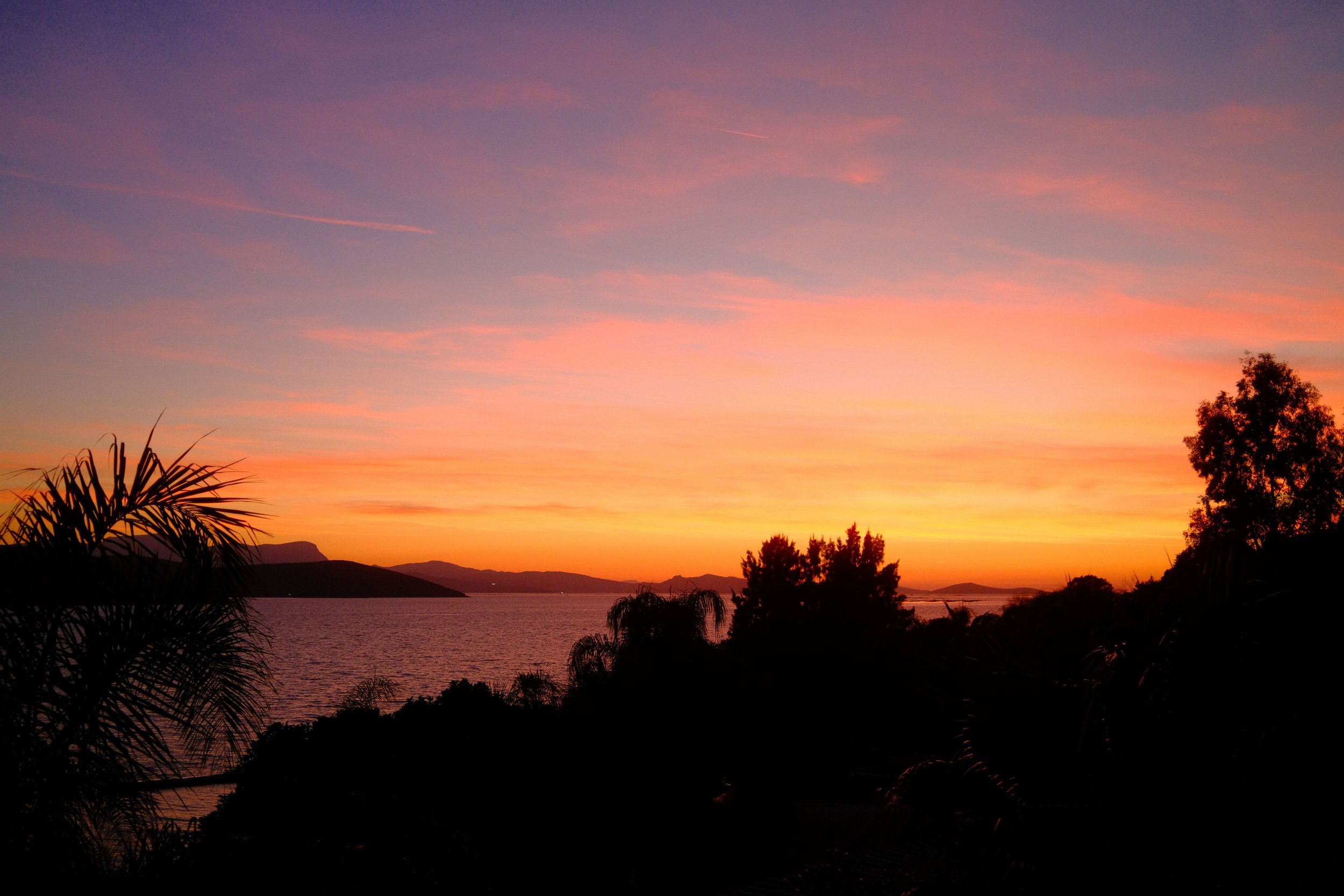 DSCF0483.JPG