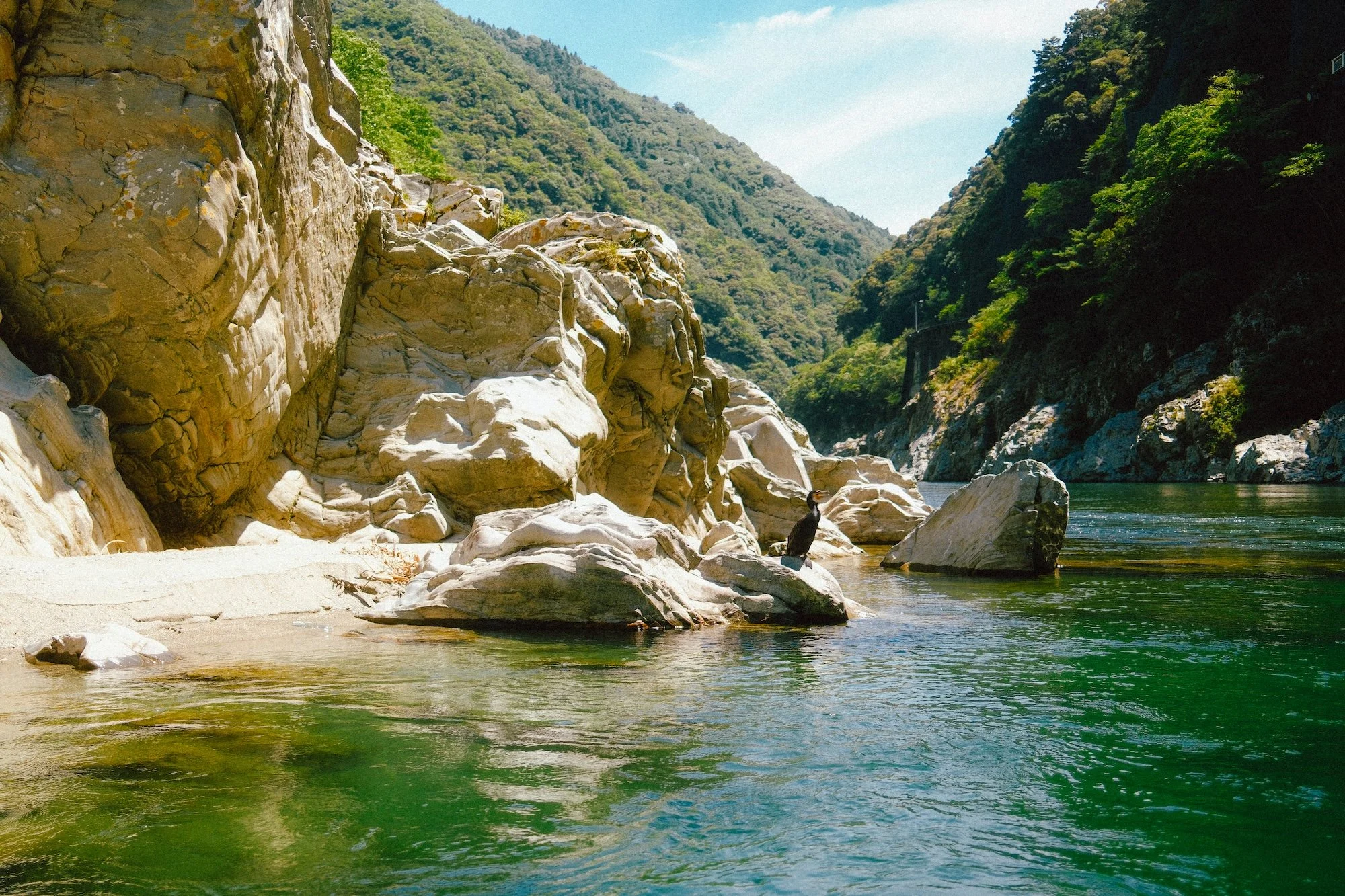 DSCF9656-2.jpg