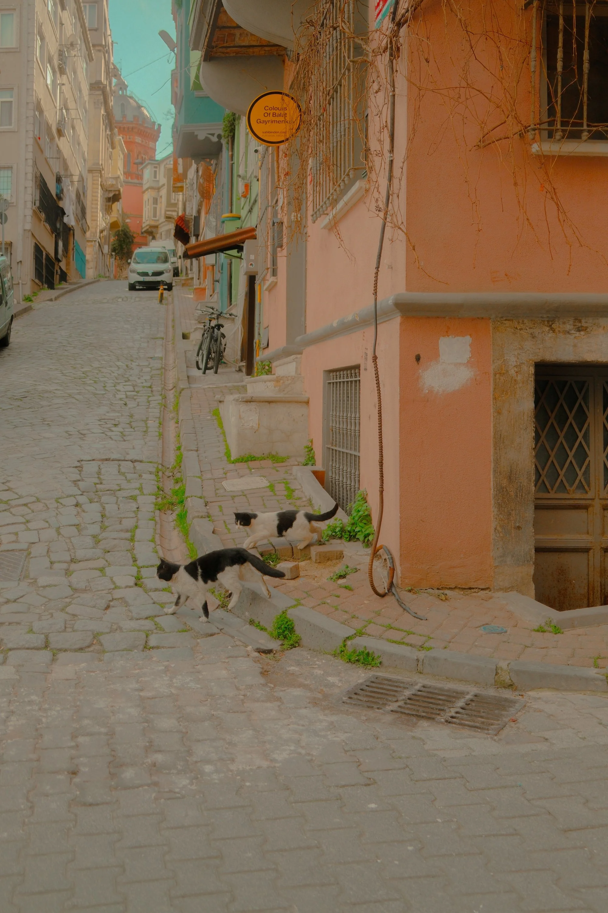 Copy of balat-27.jpg