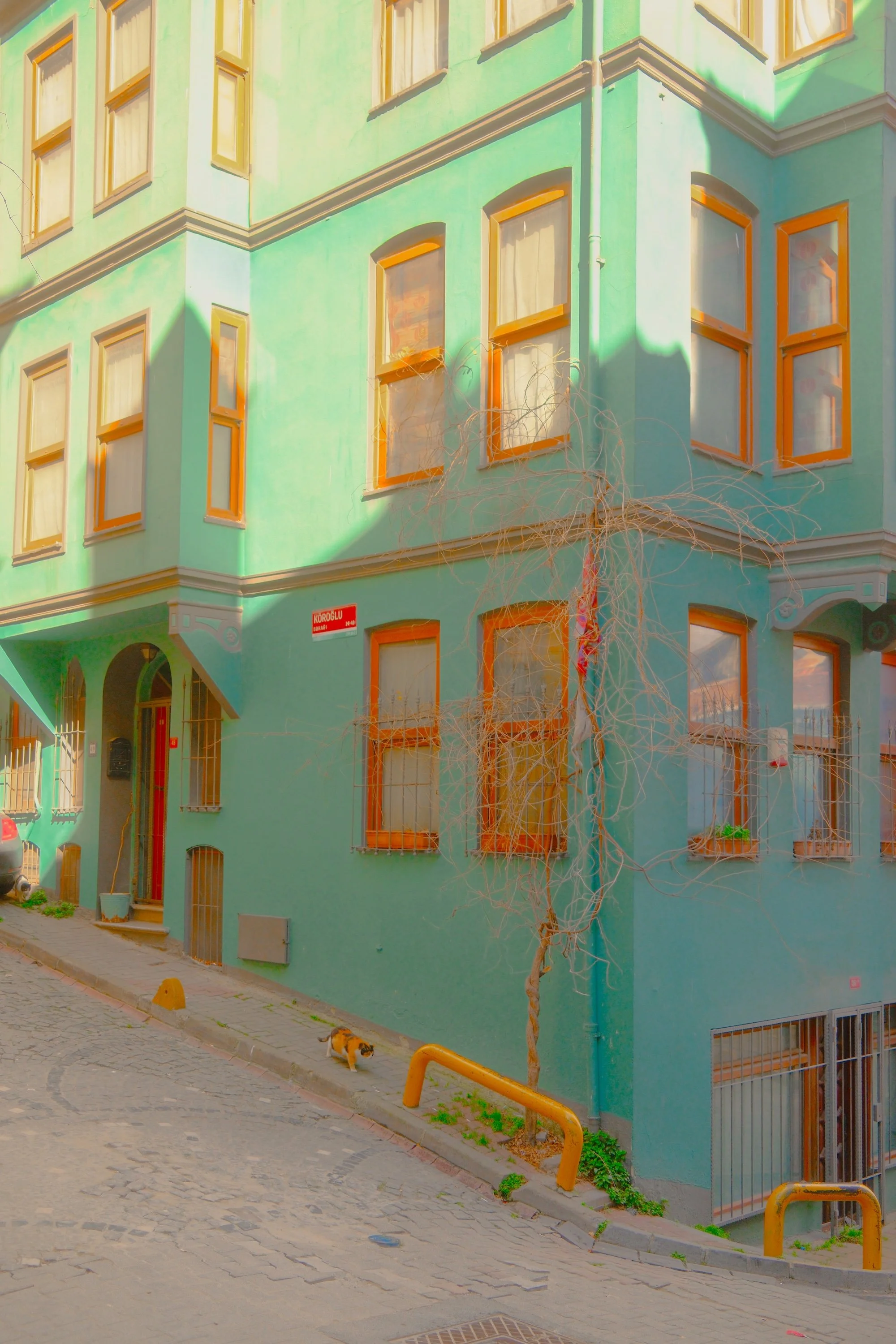 Copy of balat-24.jpg