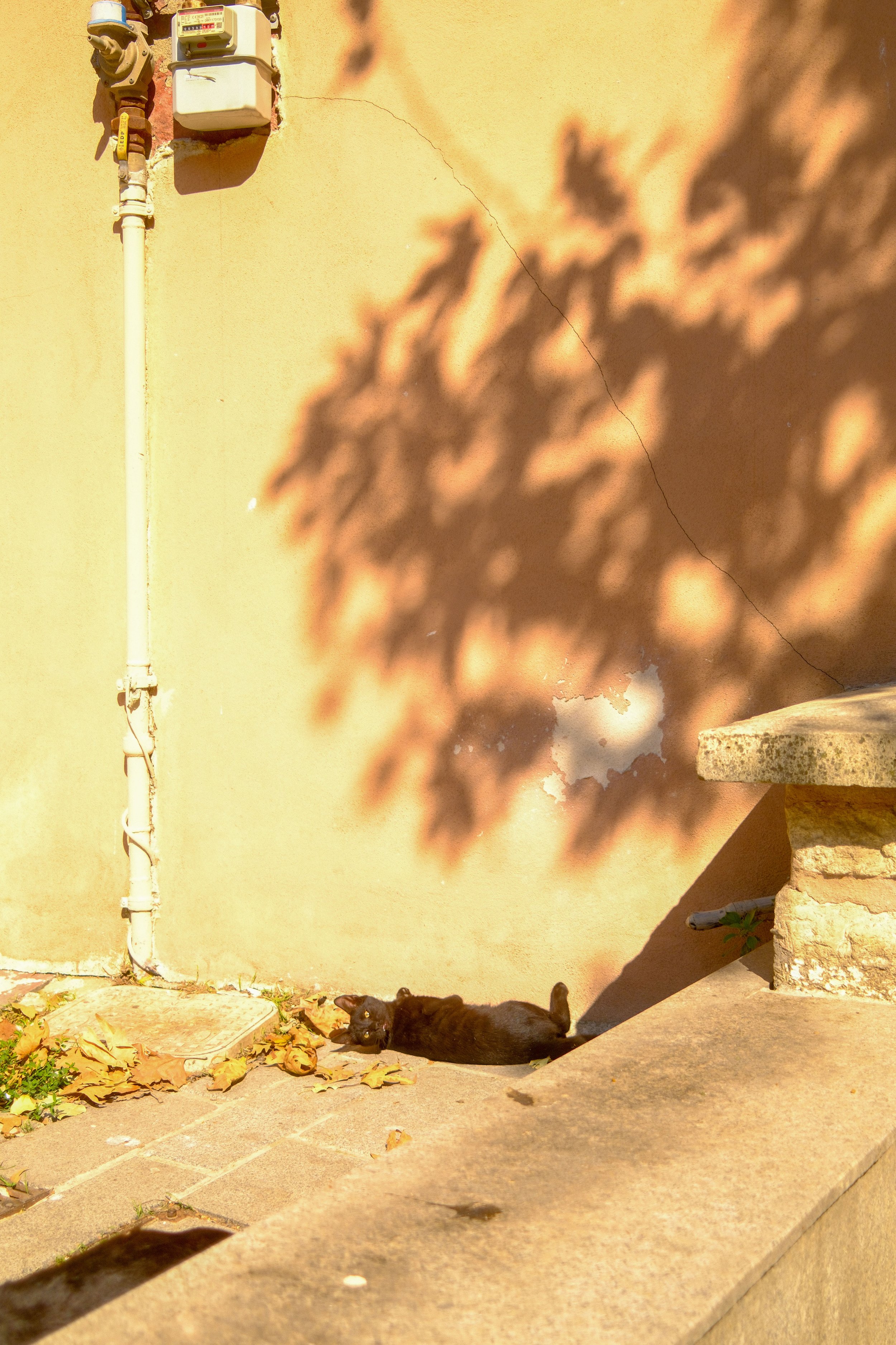 DSCF0292.JPG