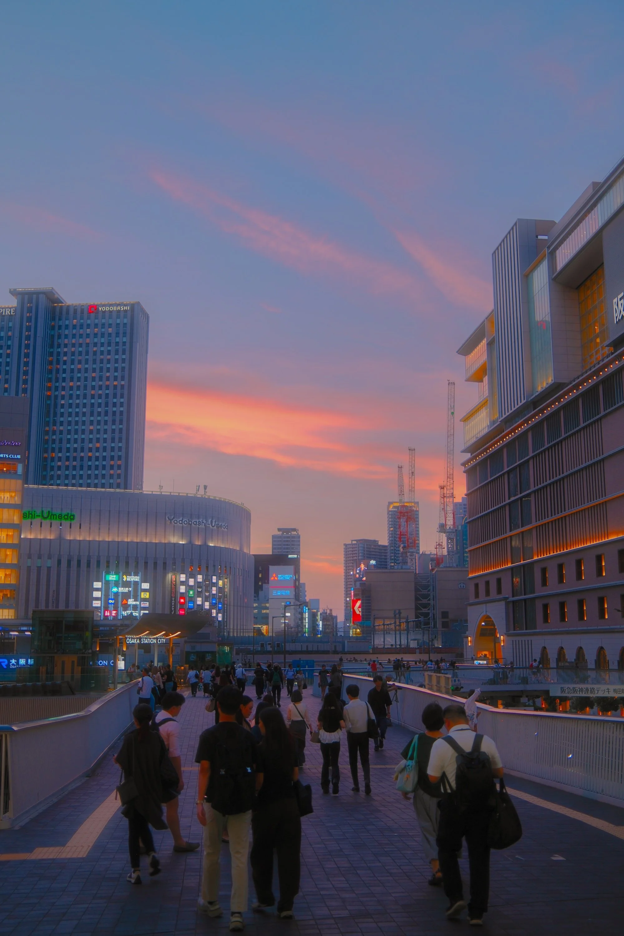 DSCF9811-2.jpg