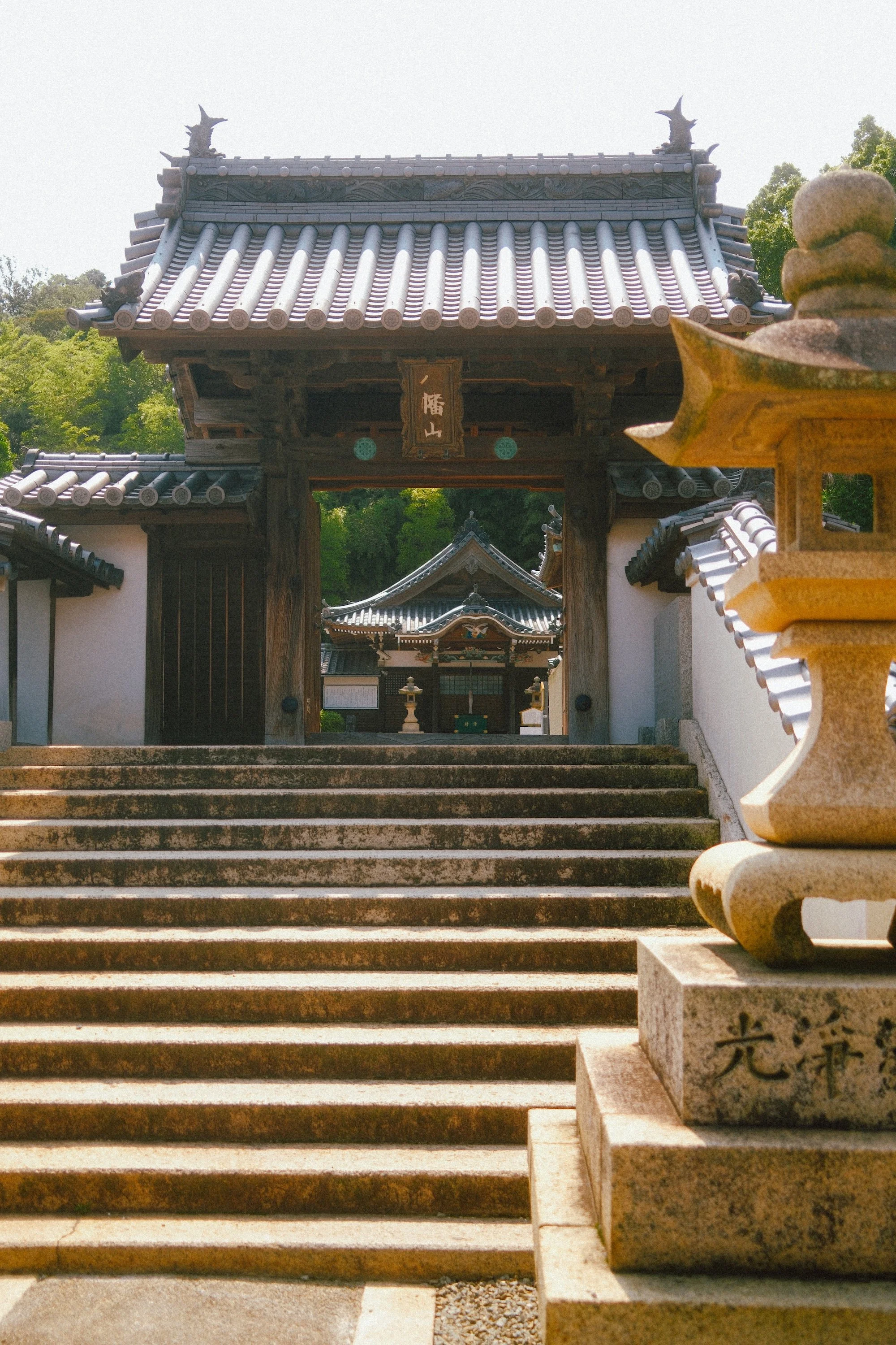 DSCF9390-2.jpg