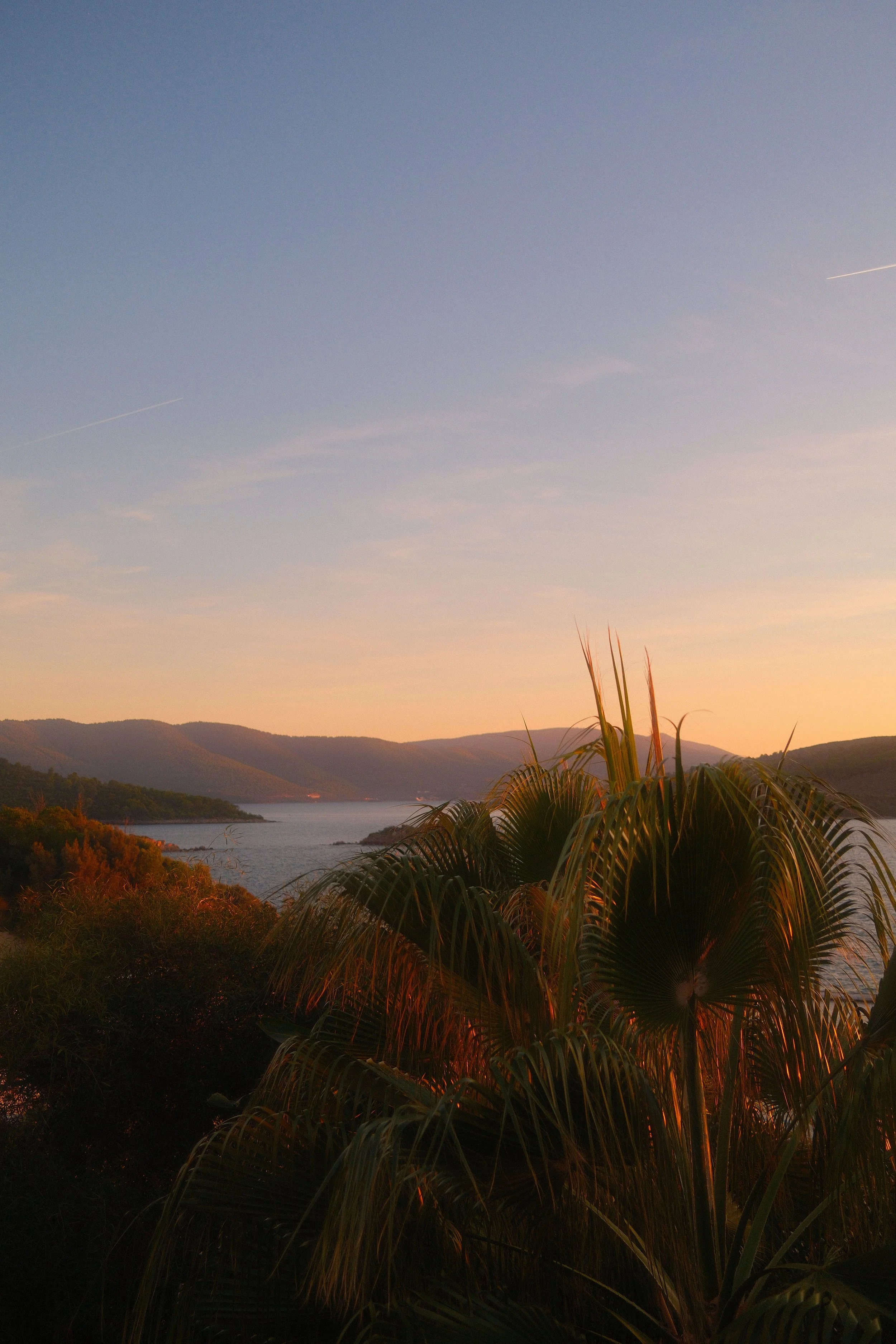 DSCF0459.JPG