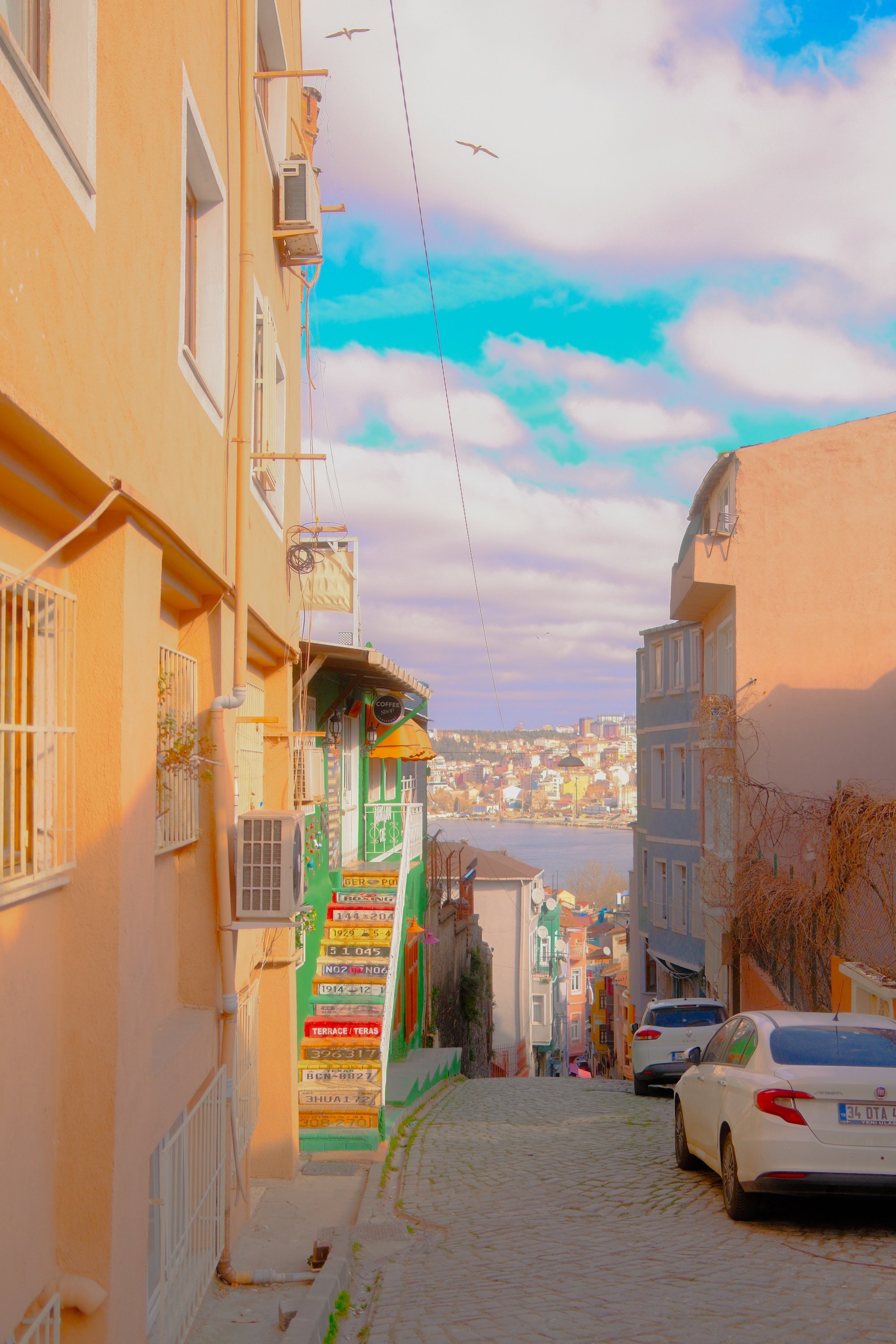 Copy of balat-14.jpg