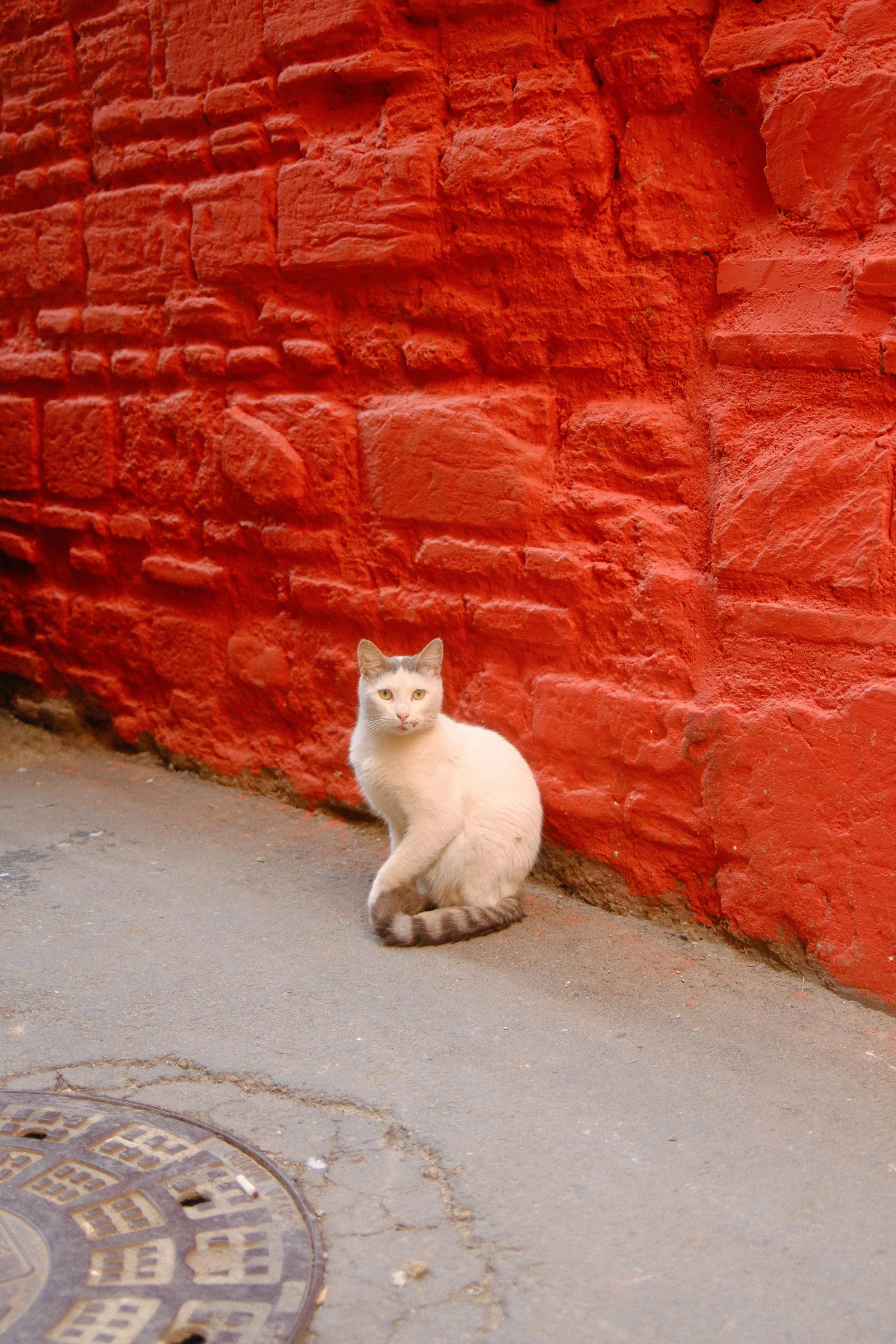 DSCF0057.JPG