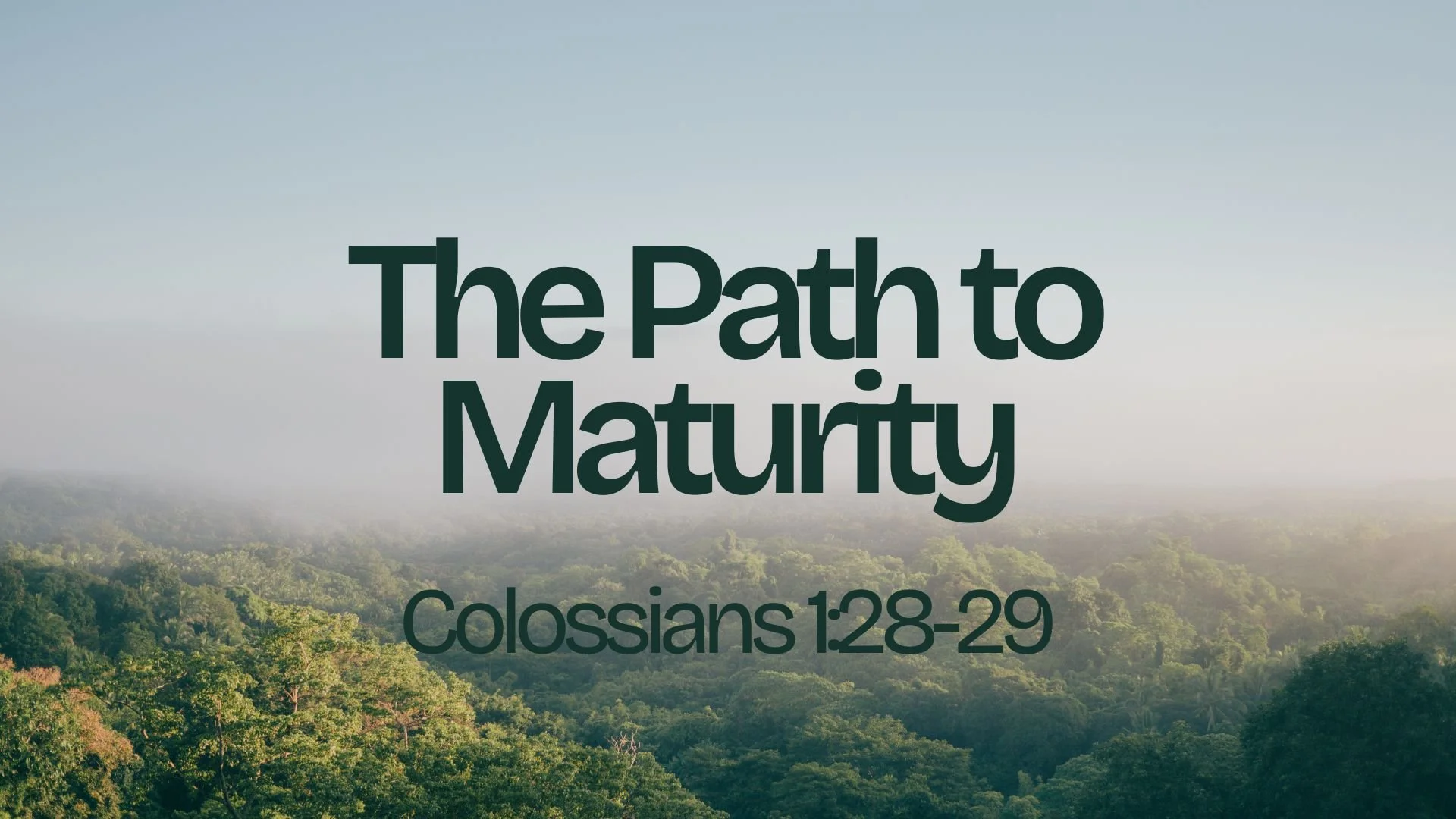The Path to Maturity | Colossians 1:28-29