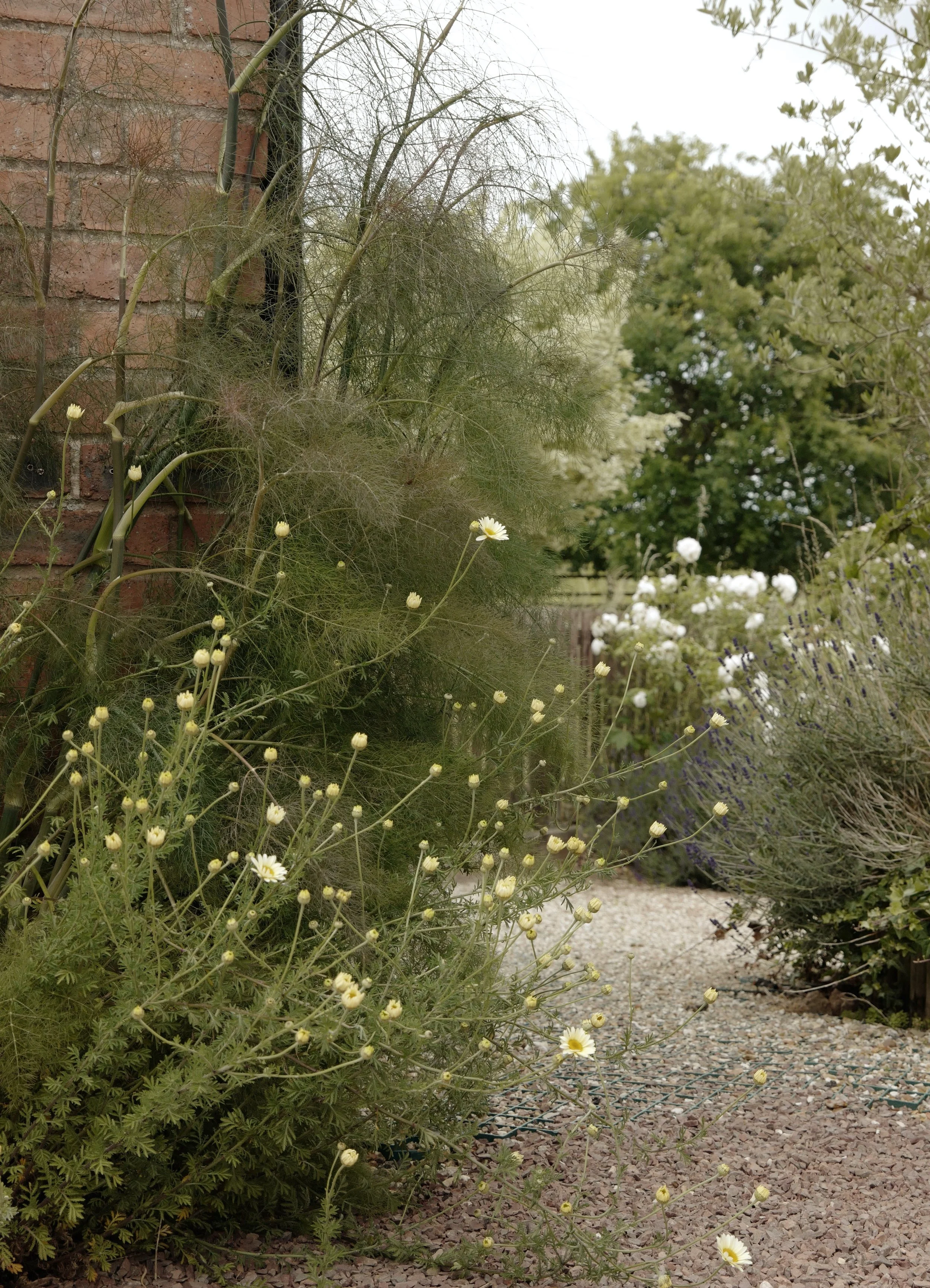 AfterlightImage (4).jpeg