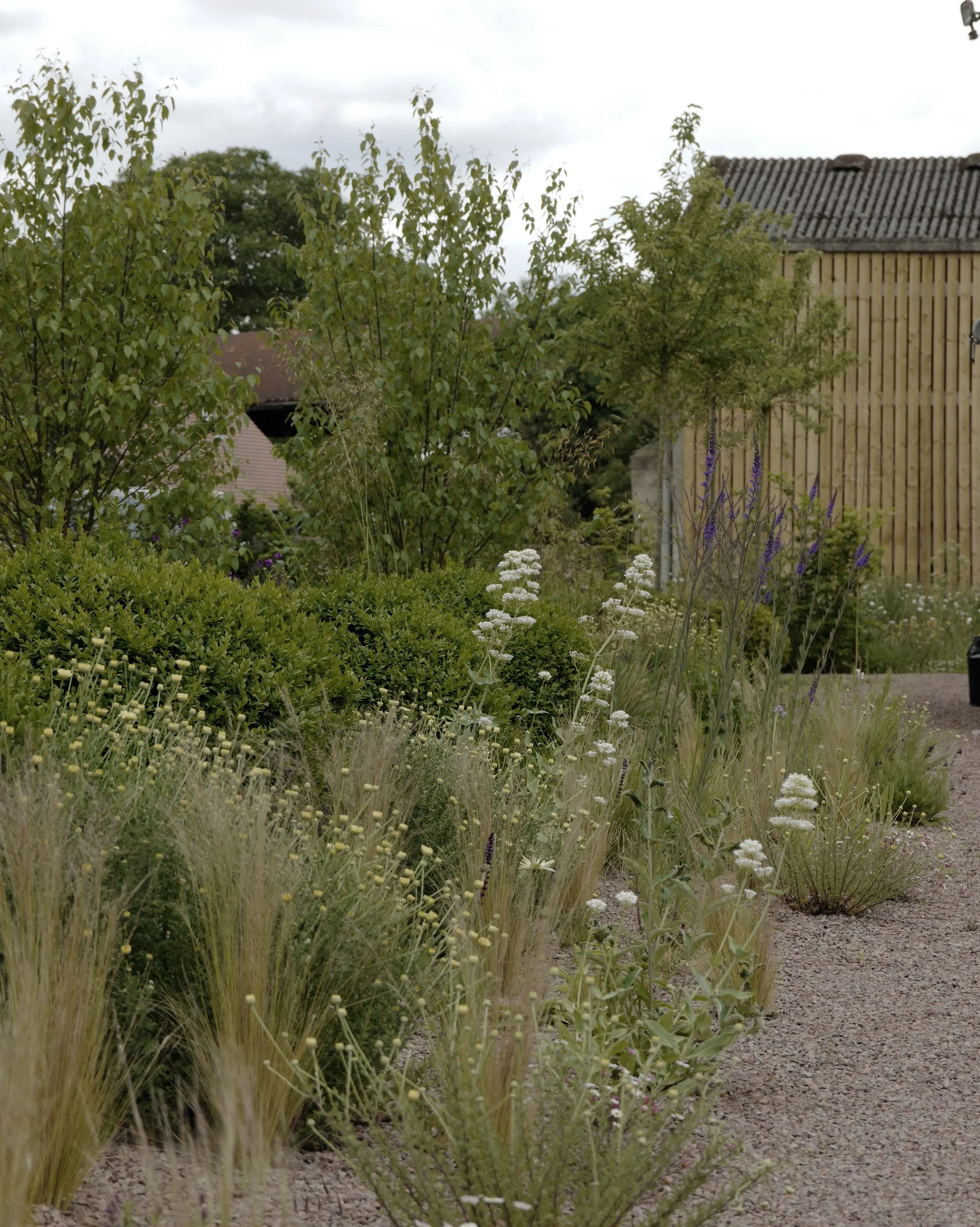 AfterlightImage (3).jpeg